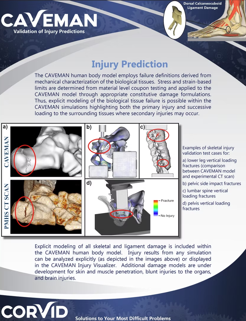 Diagram explaining injury prediction in bone and ligament damage, showing 3D models of skeletal fractures, experimental CT scans, and a simulation of mechanical loading on bones with color-coded fracture risk, along with illustrative images of bone f