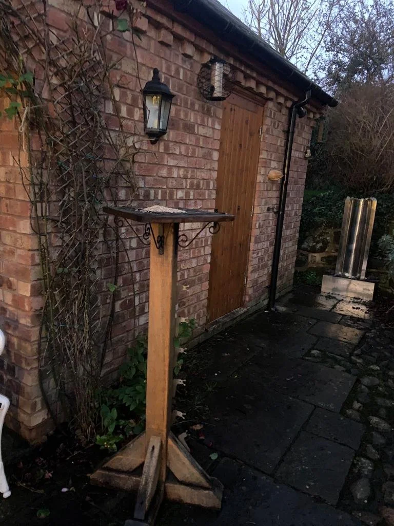 Slug family climbing bird table