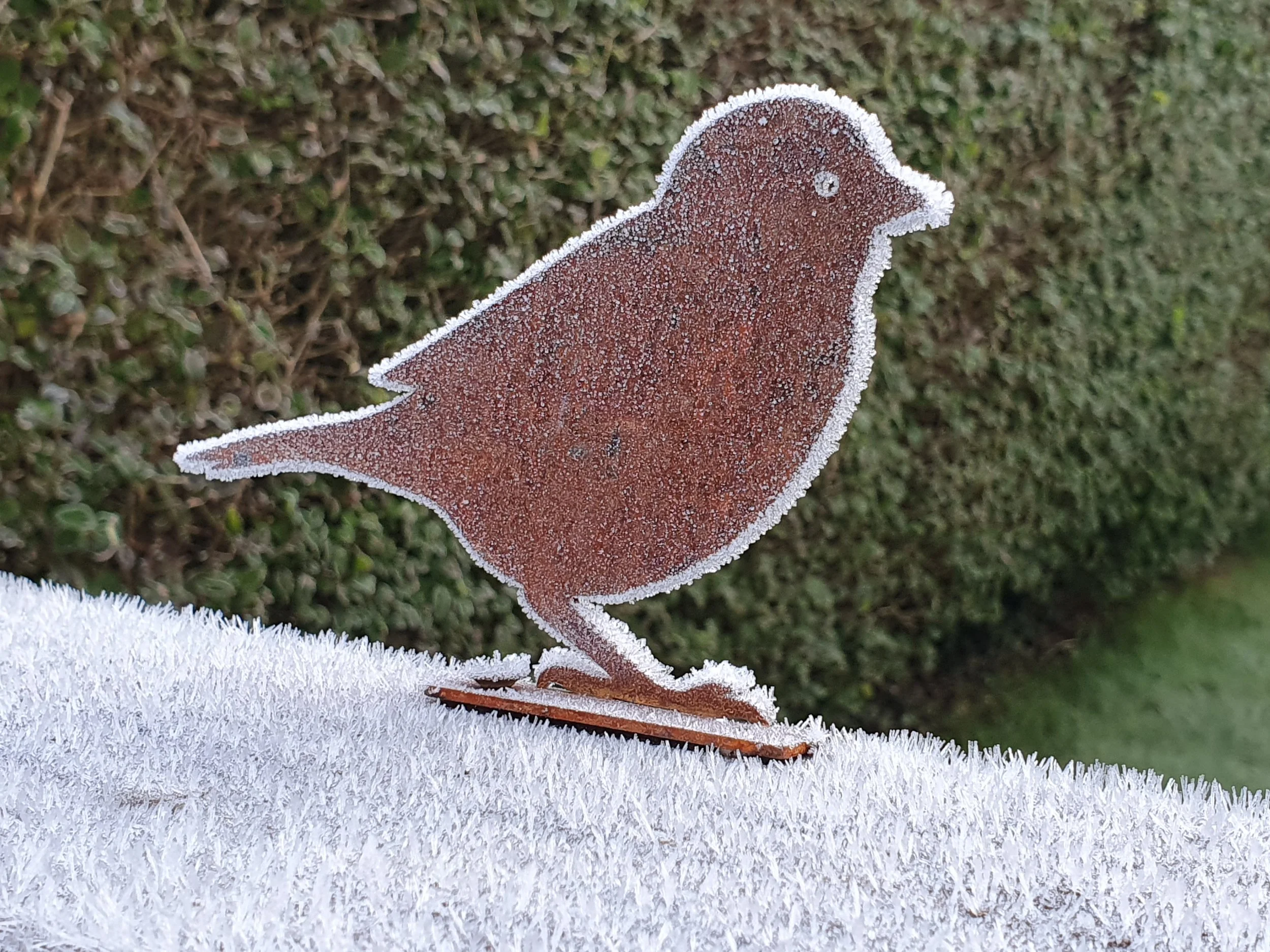 Frost-covered metal bird sculpture on a white surface with a green hedge in the background.