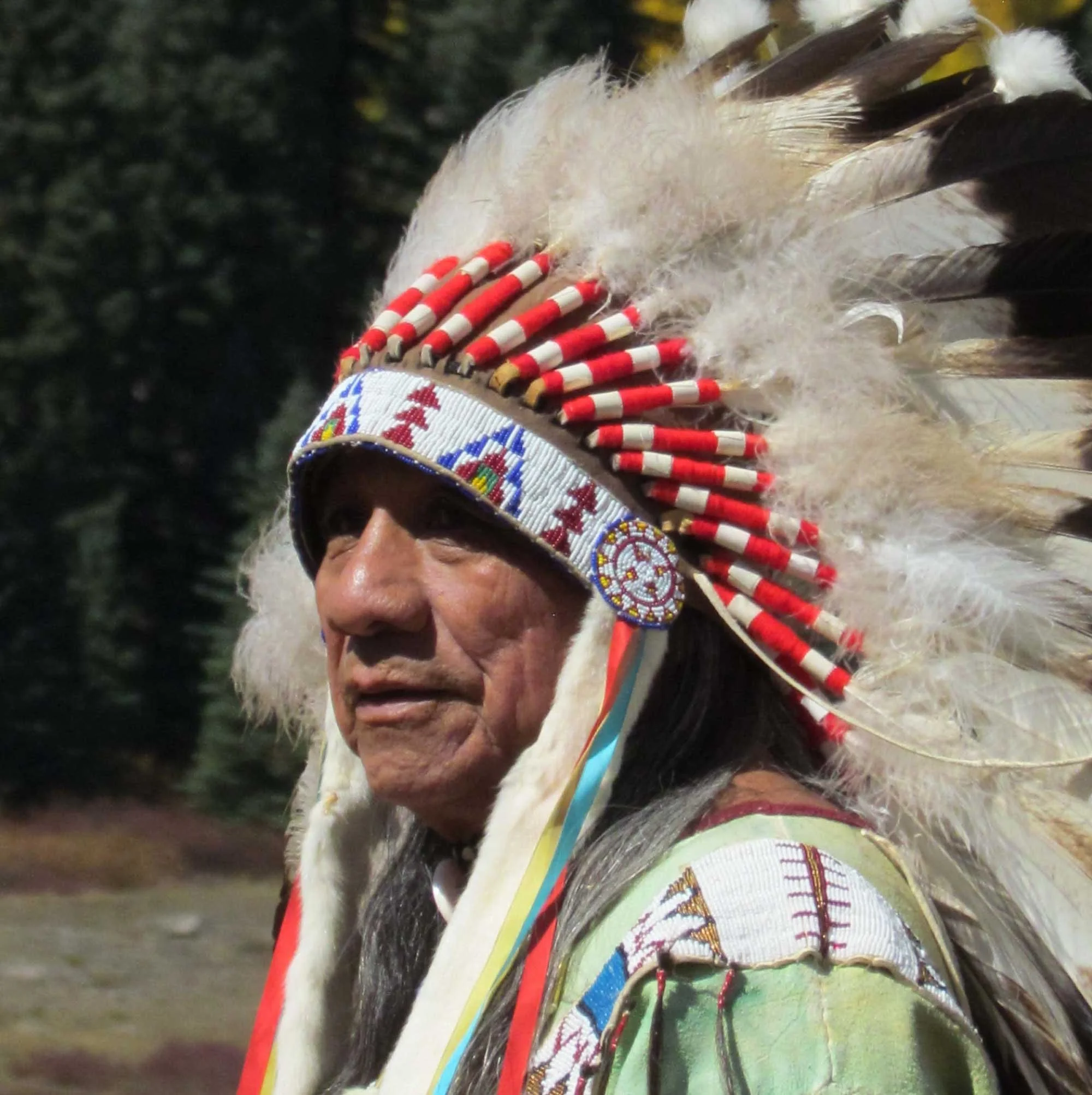 Close-up of a Native American headdress with feathers and beadwork.