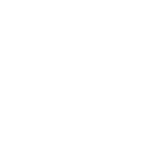 Salida Theater Project