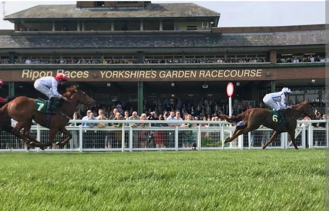 Ripon Racecourse. 