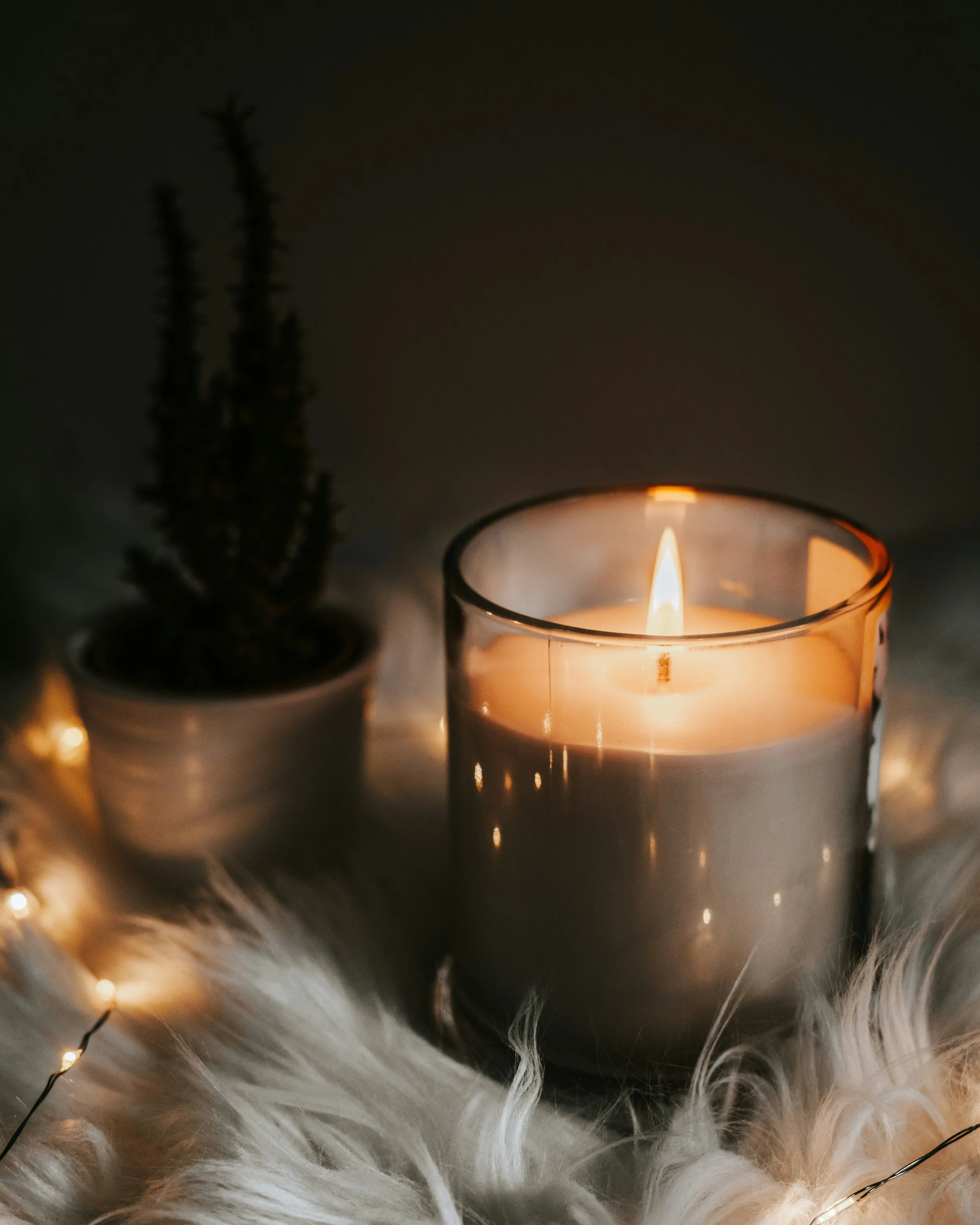 A lit white candle in a glass holder, a small potted cactus, and string lights on a fluffy white surface in a dark setting.