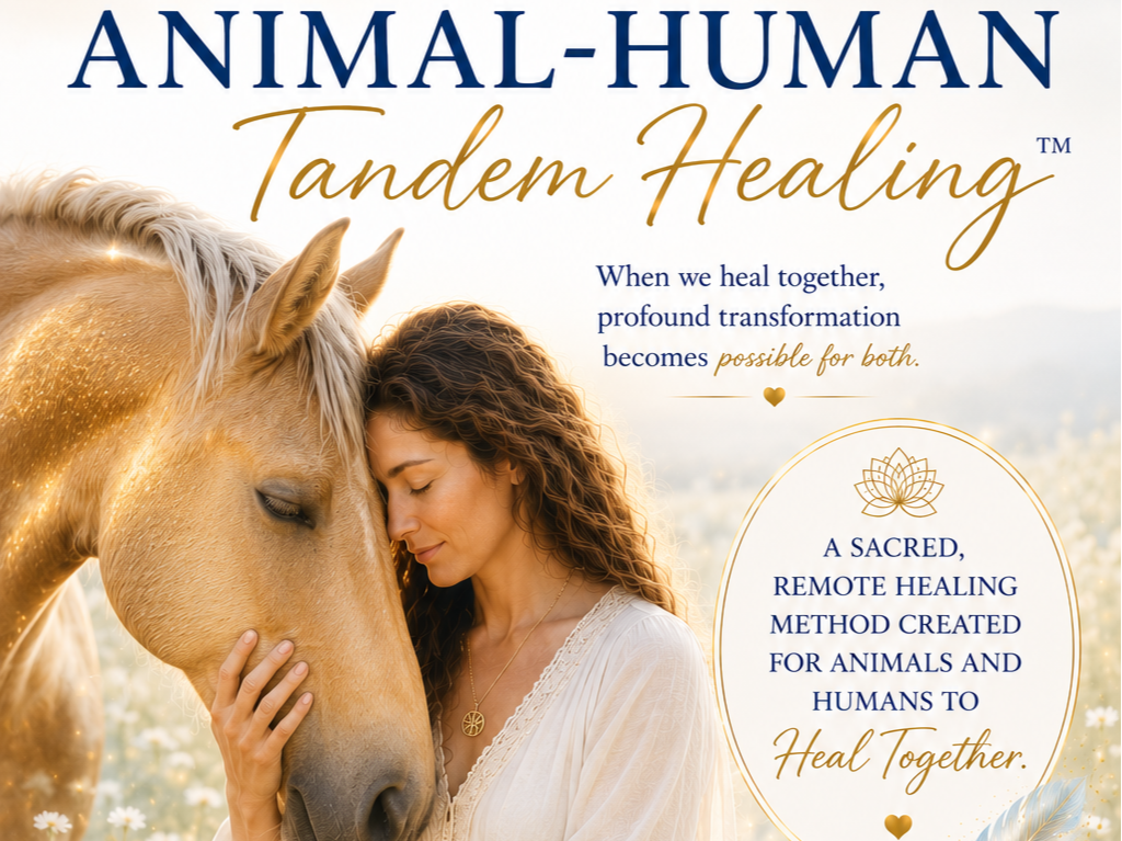 NEW 18-Module Training Course - Learn Tammy's Proprietary Animal-Human Tandem Healing™ Method