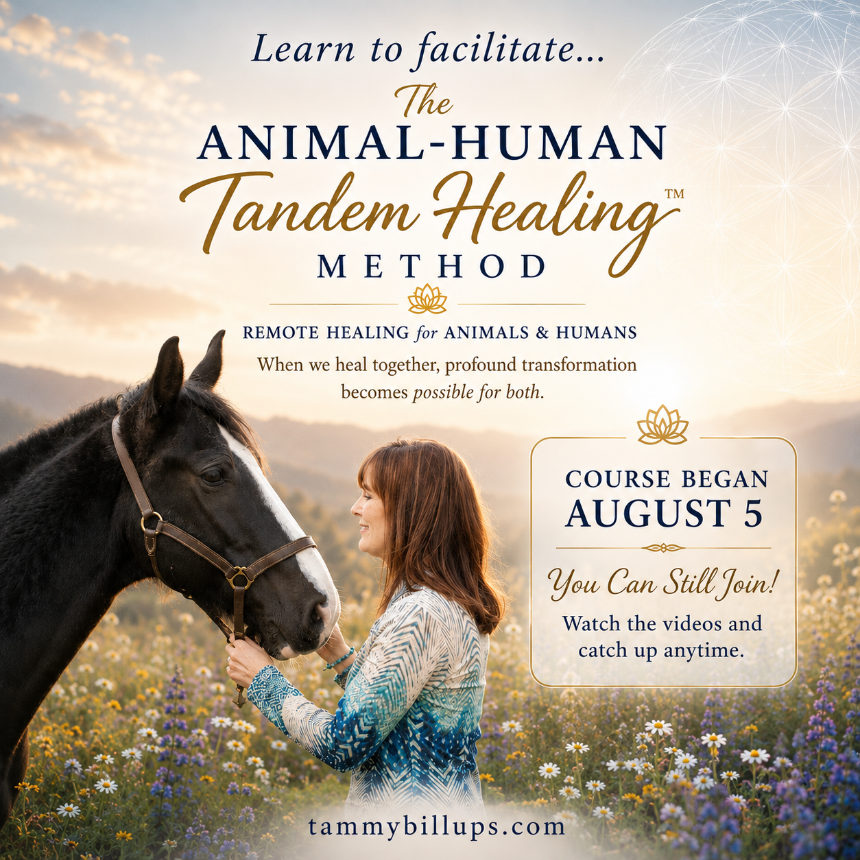 NEW 18-Module Training Course - Learn Tammy's Proprietary Animal-Human Tandem Healing™ Method Registration is open! Catch up by watching the videos.