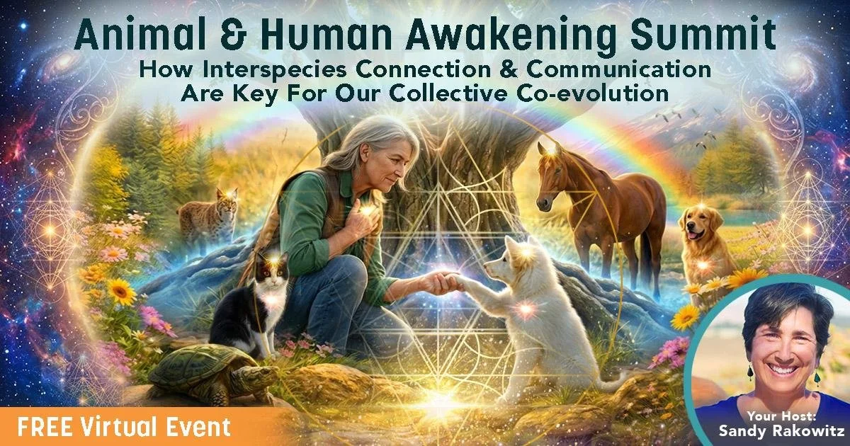 Begins the Animal-Human Awakening Summit 