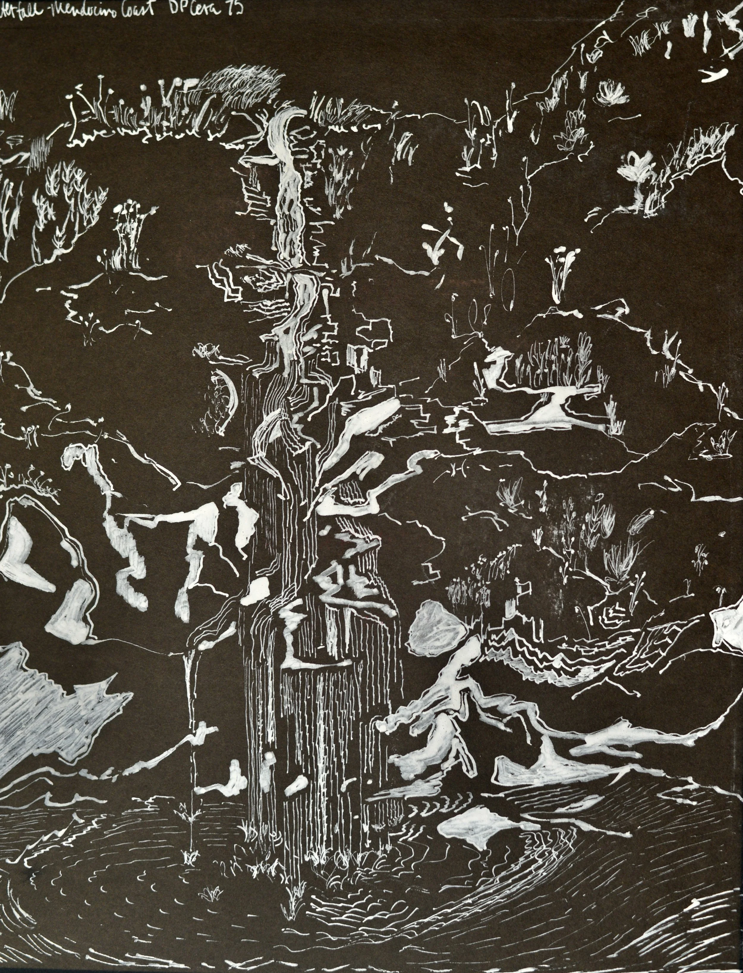 'Coastal Falls' · Pen and Ink on Canson Paper · 
15 x 12" · 1975.