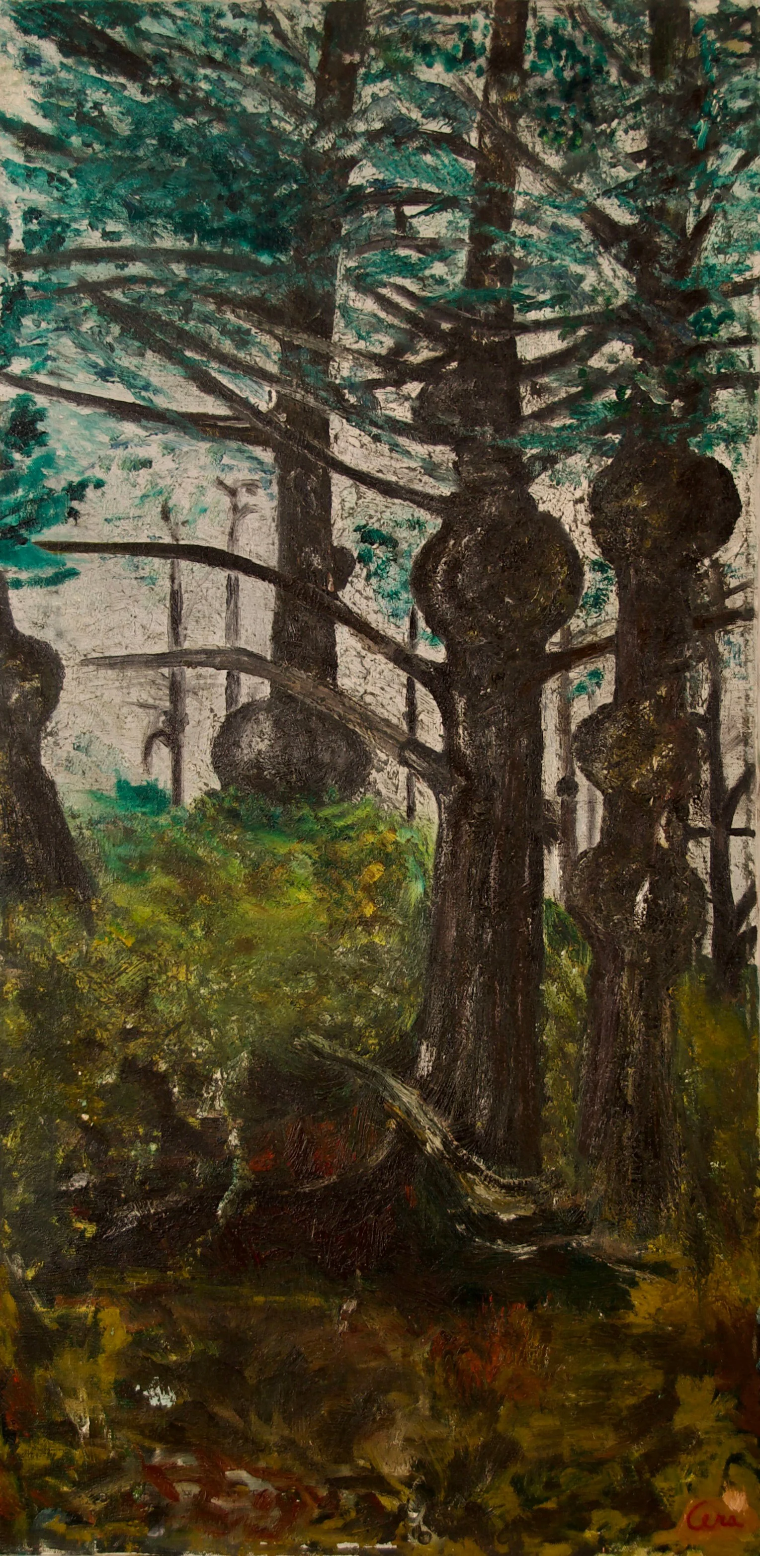 'Burl Trees'  Oil on Canvas  36" x 18"  1974.