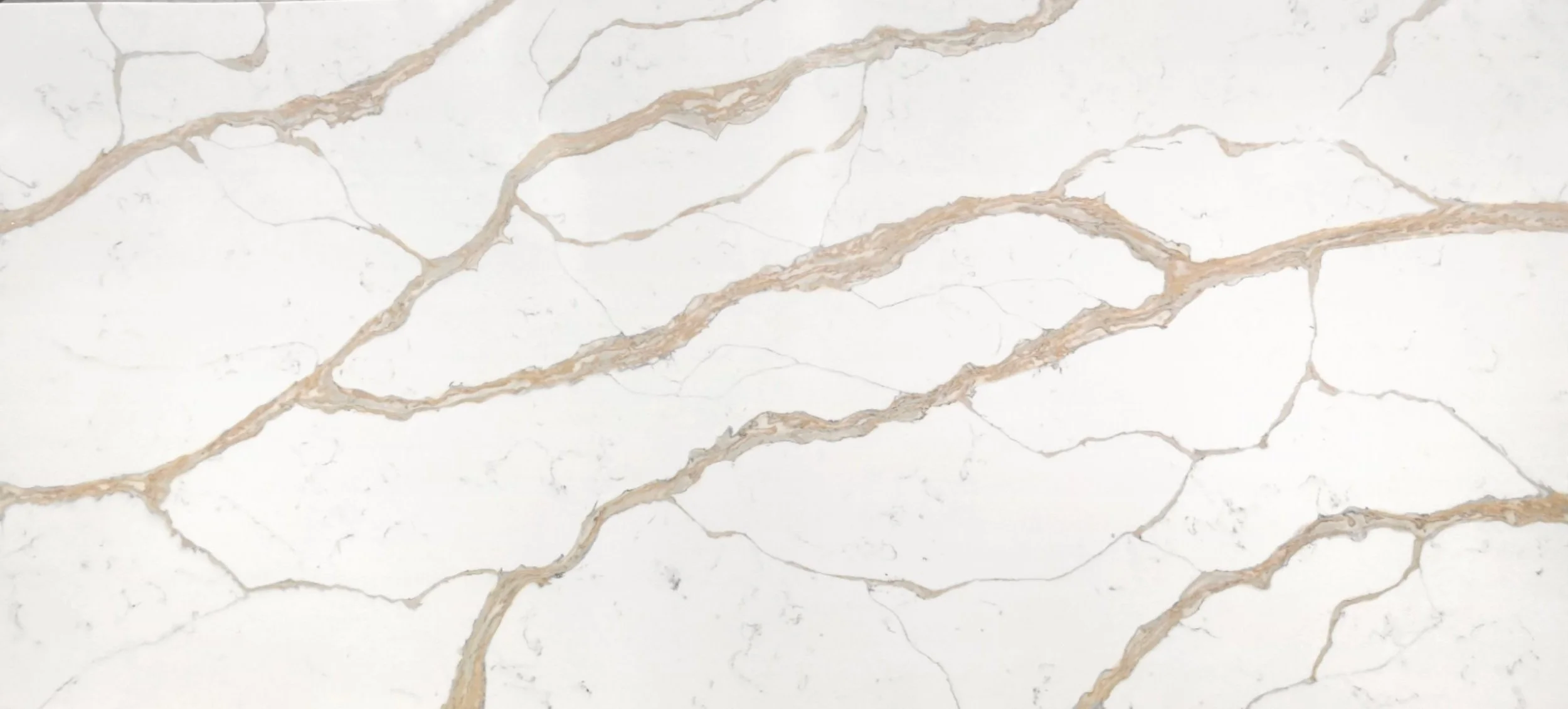 992 Calacatta Aurous