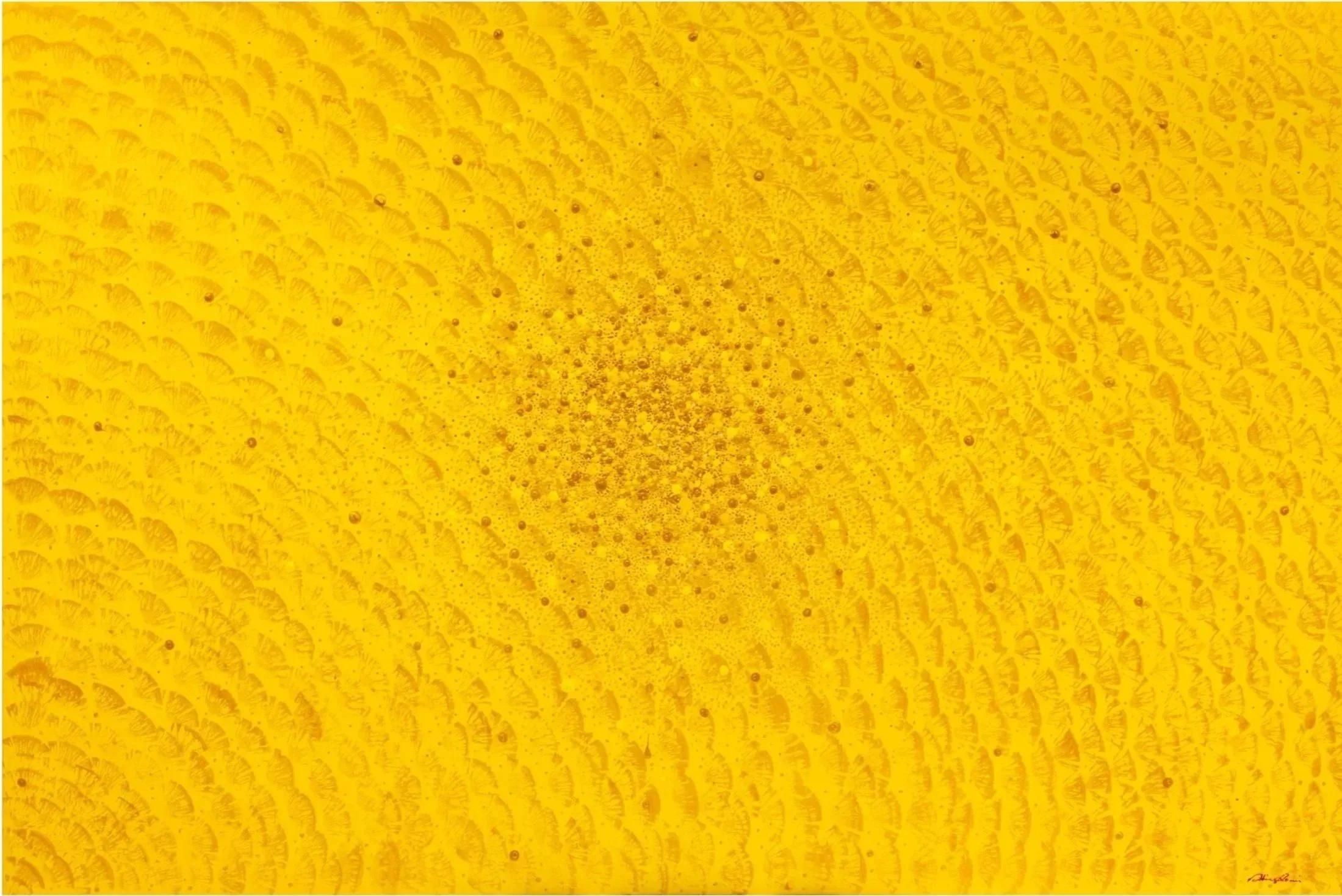 Pioggia d’orata, Golden Rain, Acrylic on canvas, 2021- 100x100