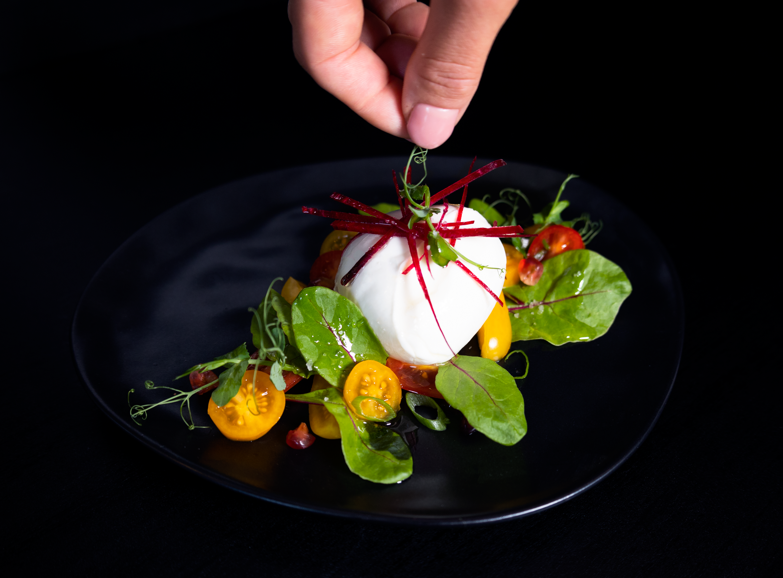 Chef ajoutant une micro-pousse sur une burrata fraîche entourée de tomates cerises jaunes et jeunes pousses, dressage gastronomique restaurant