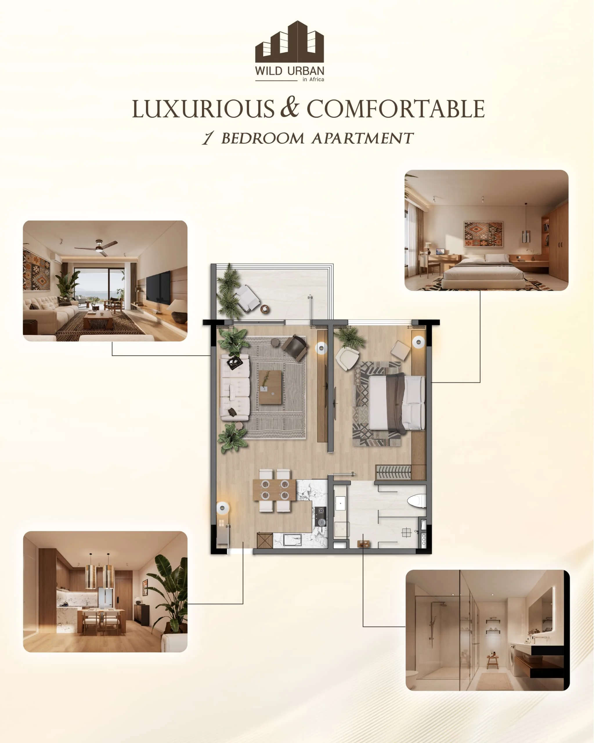 WhatsApp Image 2026-02-03 at 11.46.21.jpeg