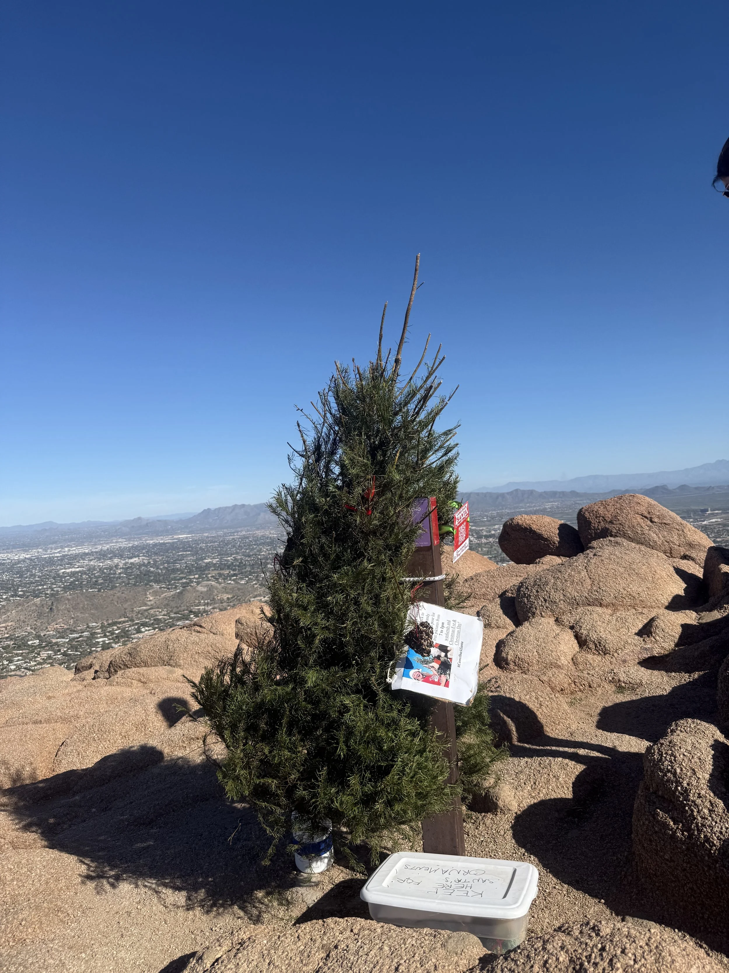 Ease into the holidays