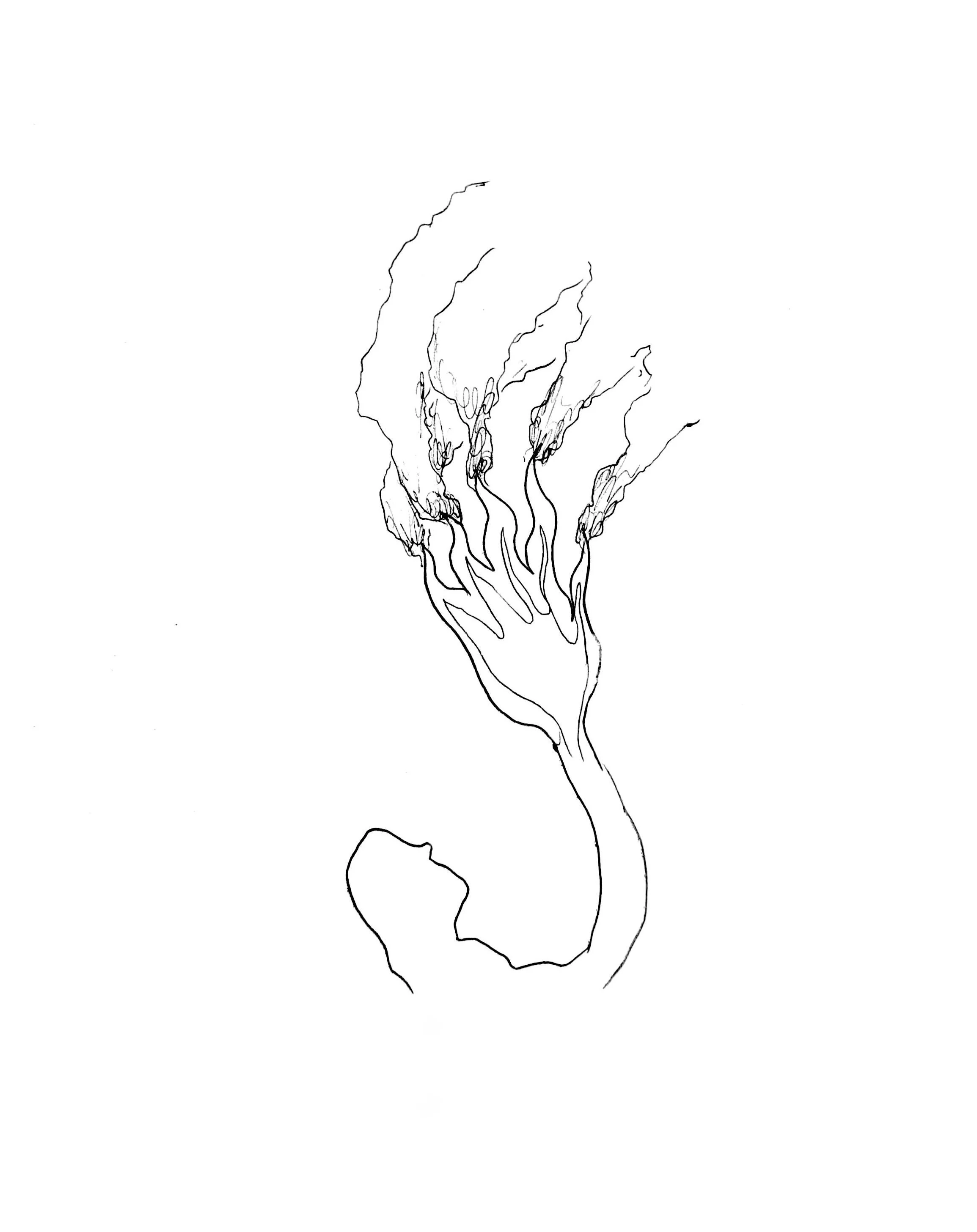 CamScanner 02-16-2025 17.23.jpg