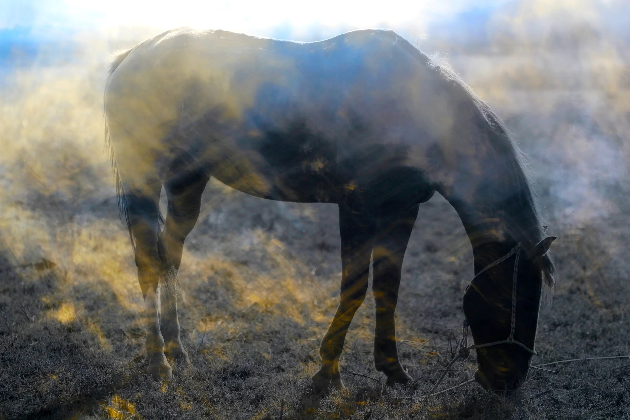 Copy of stock-photo-erif-23003411.jpg