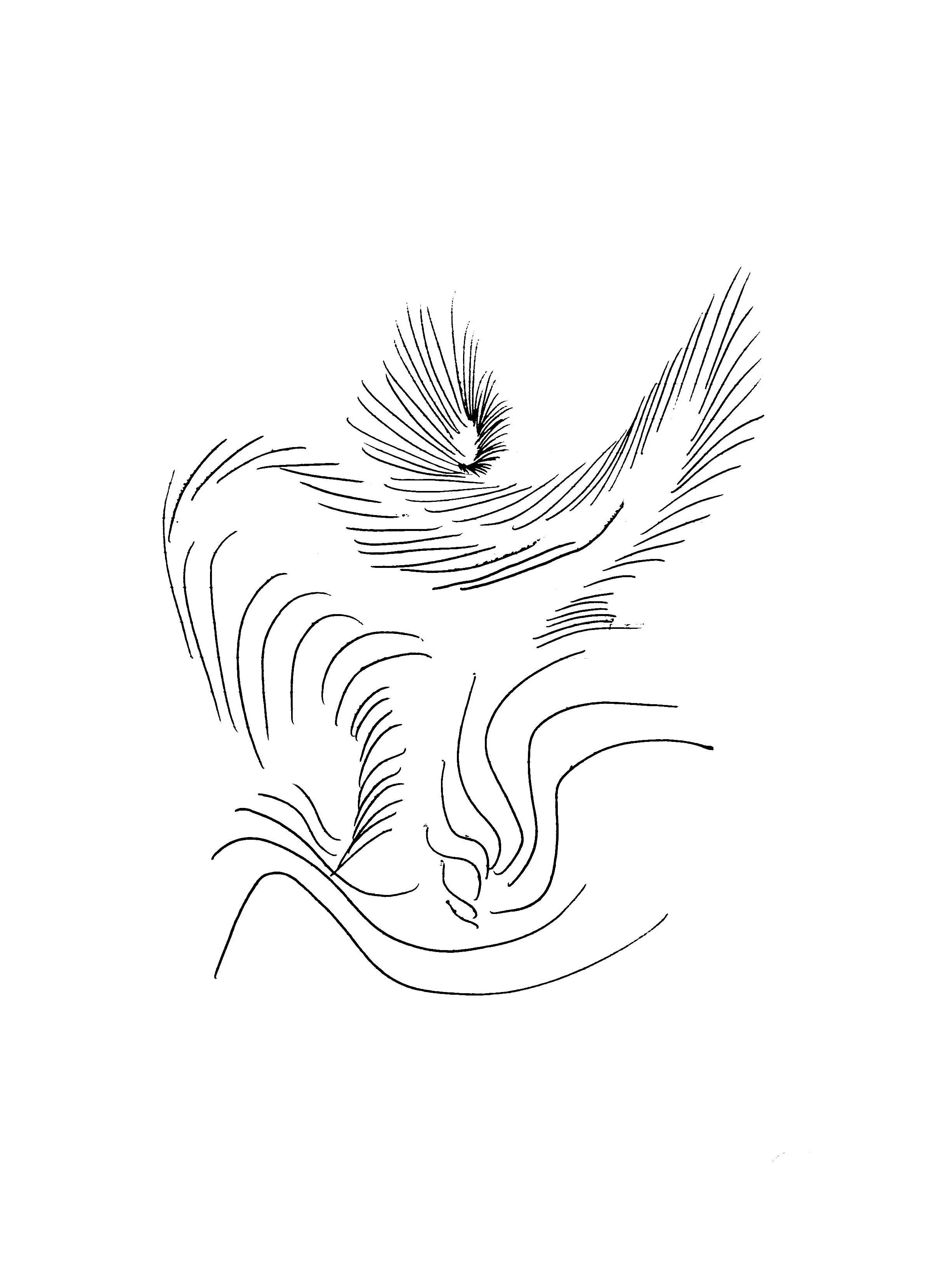 CamScanner 02-17-2025 17.56.jpg