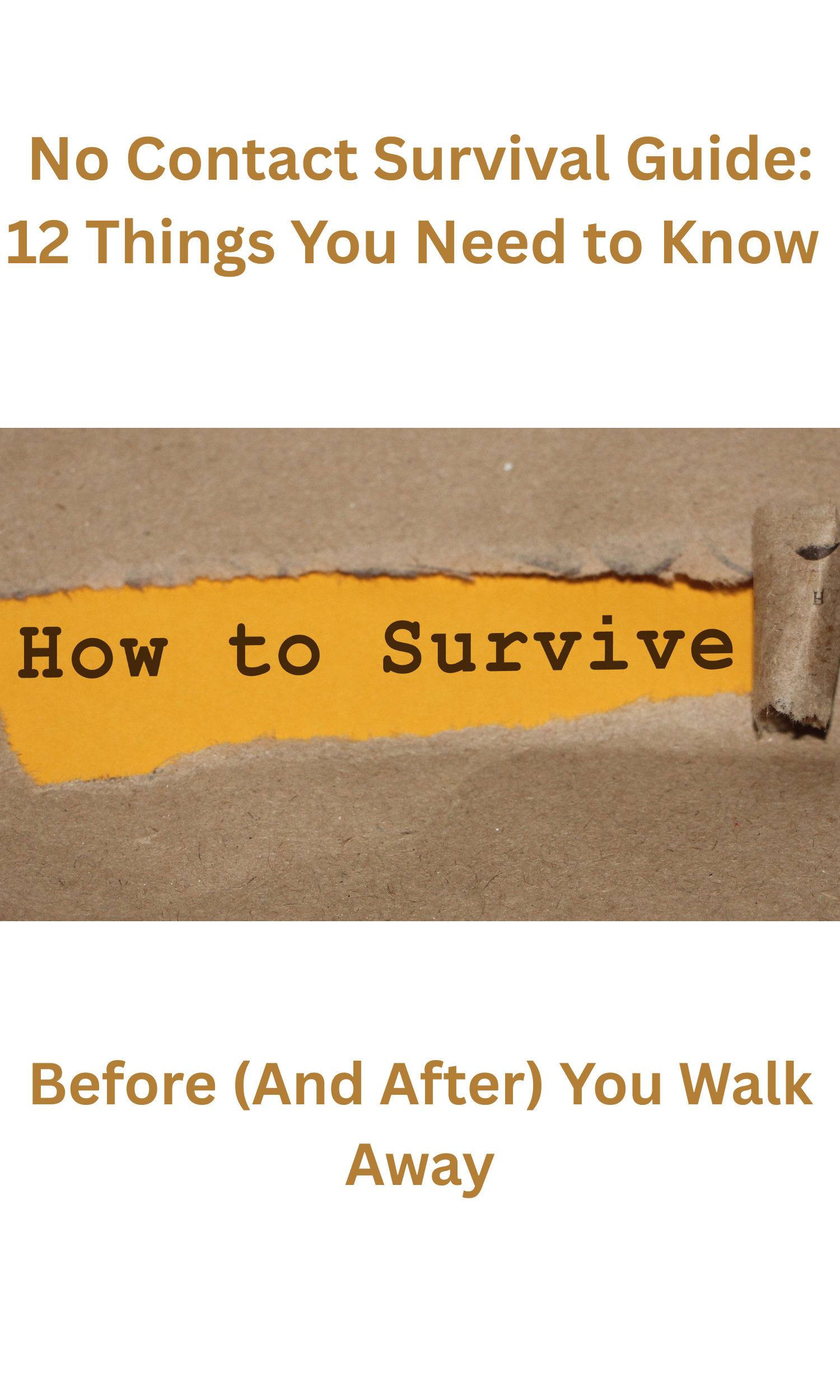 The No Contact Survival Guide: What Comes After You Walk Away