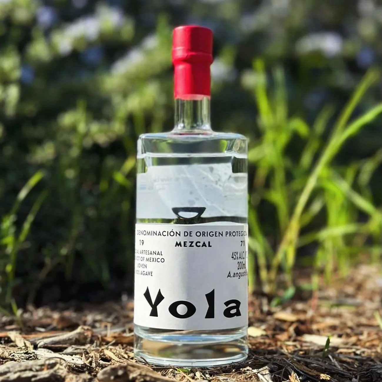 Yola Mezcal 🌵

Handcrafted in Oaxaca in small batches 

Smoky, smooth, and perfect on its own or in a cocktail

Available at Artisan! 🤍
