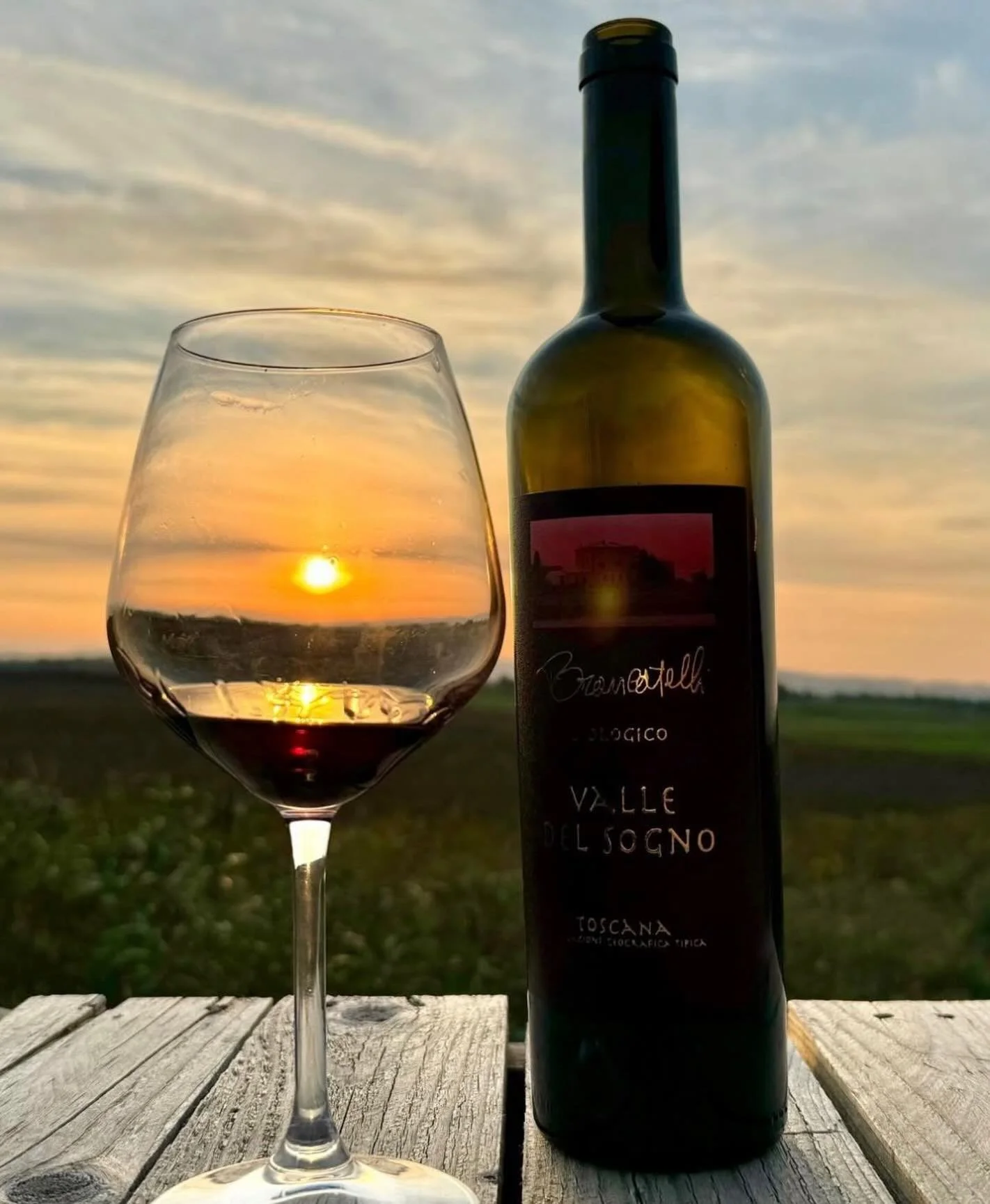 From the Tuscan coast to your glass ✨🍷

Brancatelli Valle delle Stelle Cabernet Sauvignon Toscana is bold, elegant, and beautifully layered with notes of dark cherry, black currant, spice, and soft earthiness

Certified organic and estate grown in c
