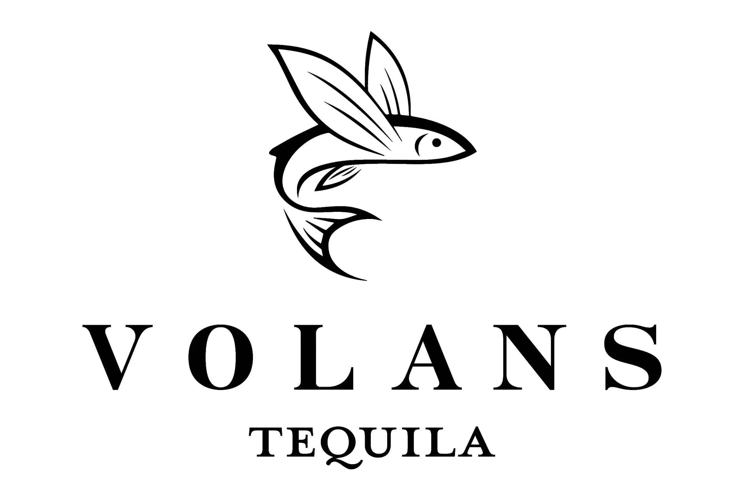 Volans-Logo-white.jpg.webp