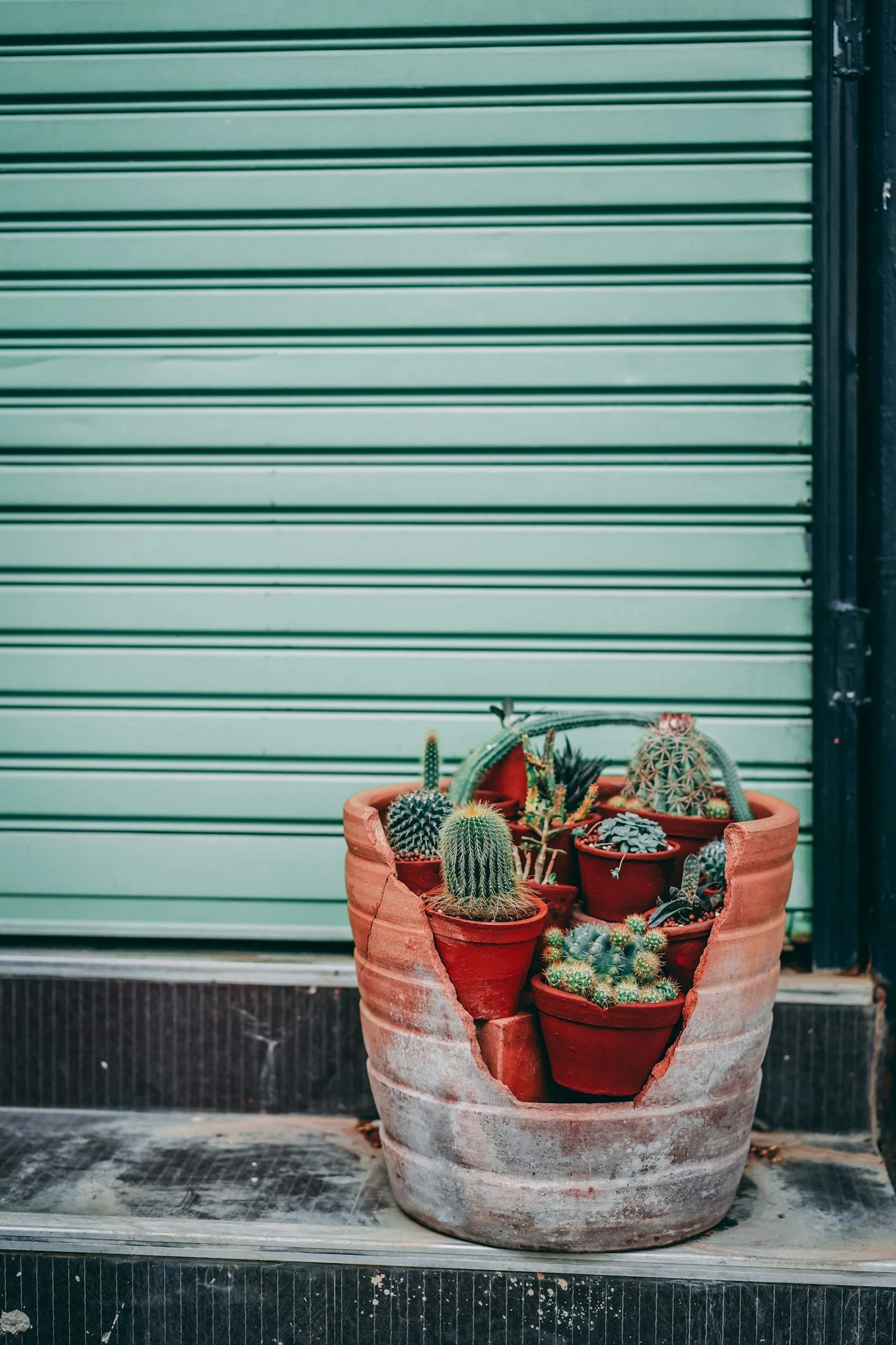 unsplash-image-7BvIQoW8rMo.jpg