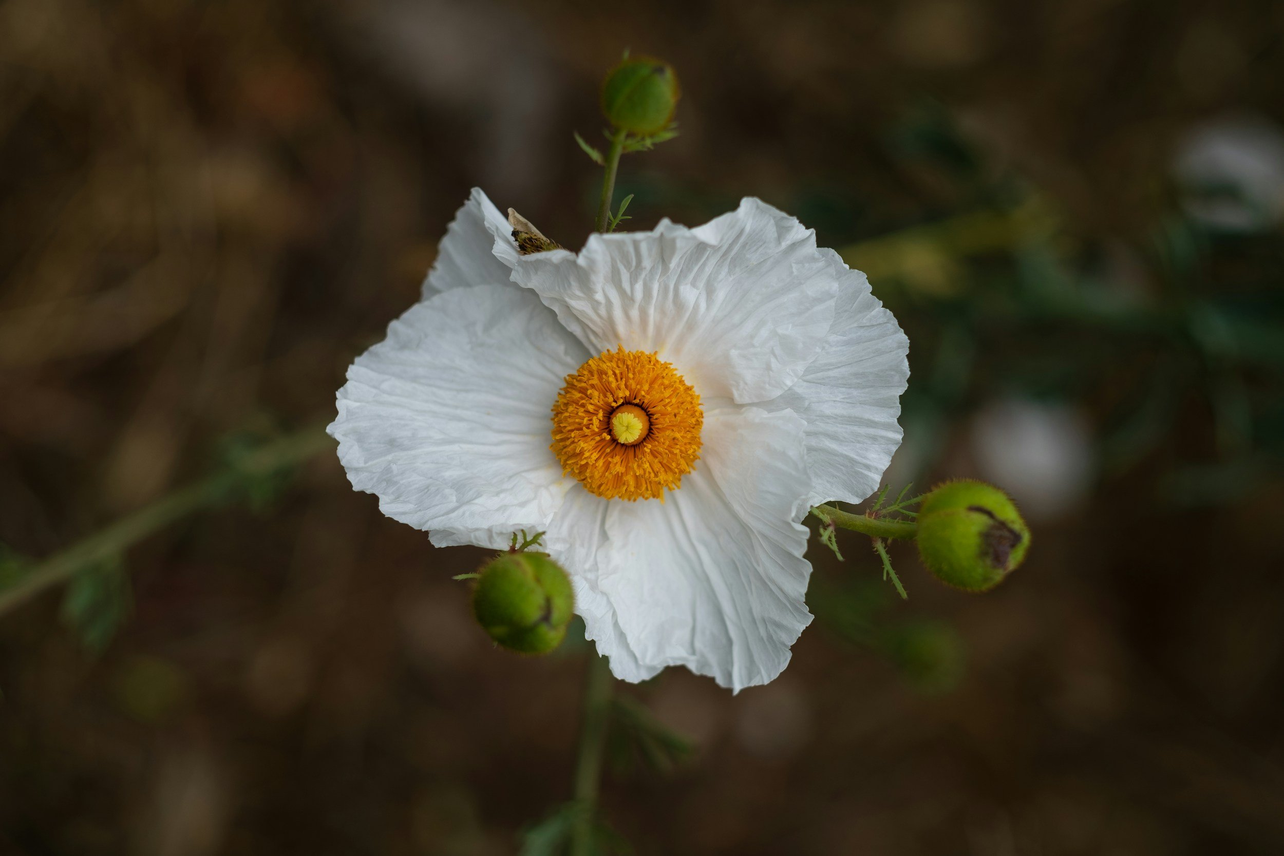 unsplash-image-11OB4ZwmPYA.jpg