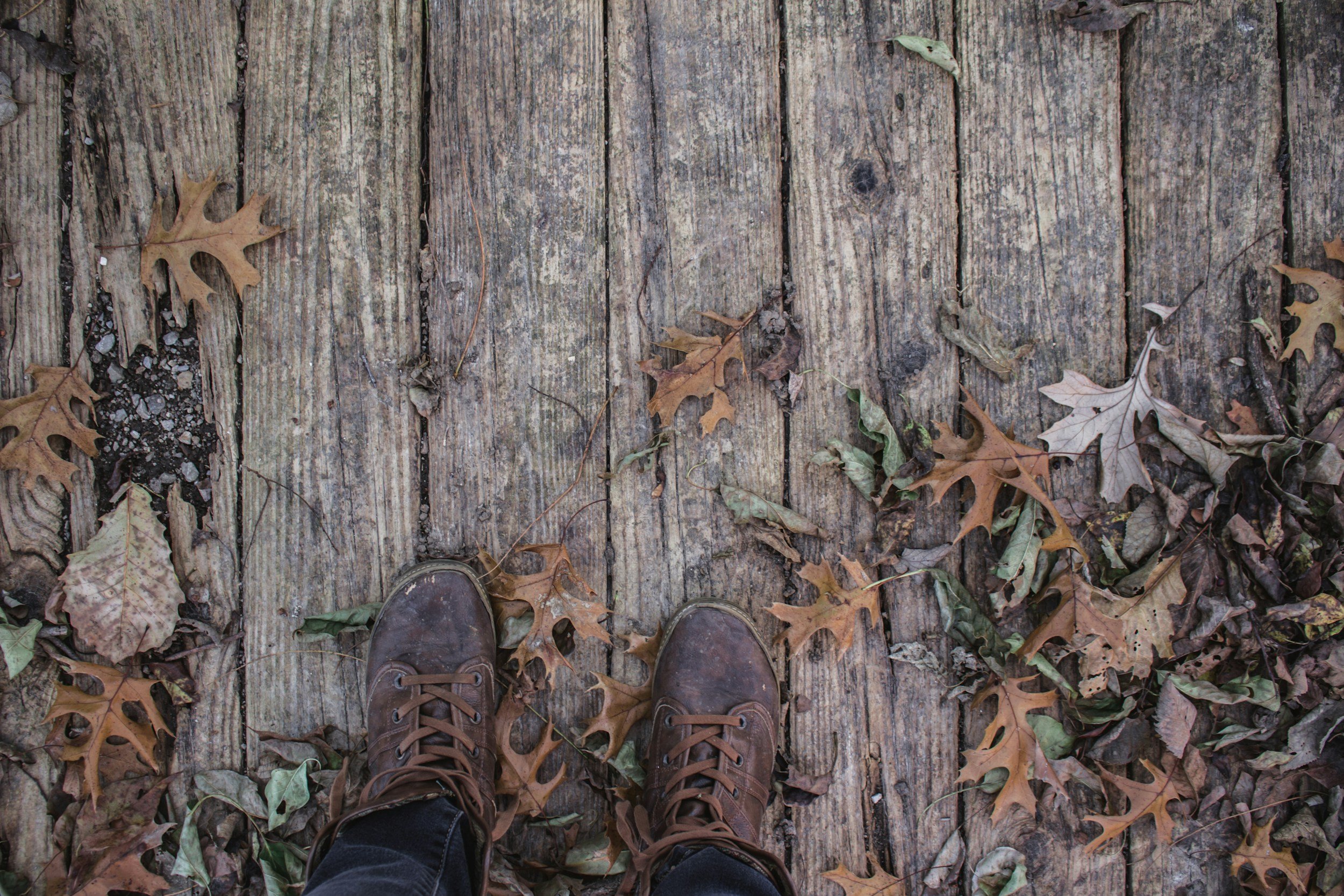 unsplash-image-hicytcLfrf0.jpg
