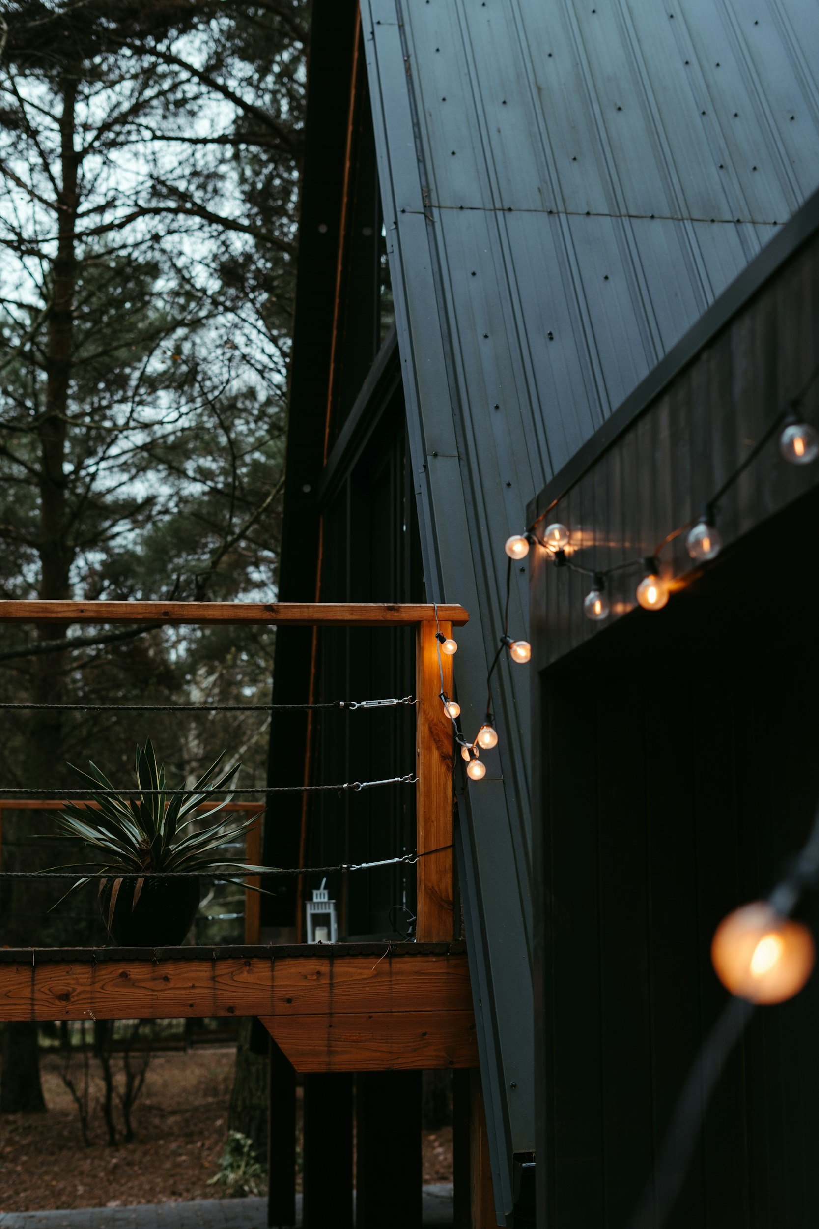 unsplash-image-gNmyXb26Rn8.jpg