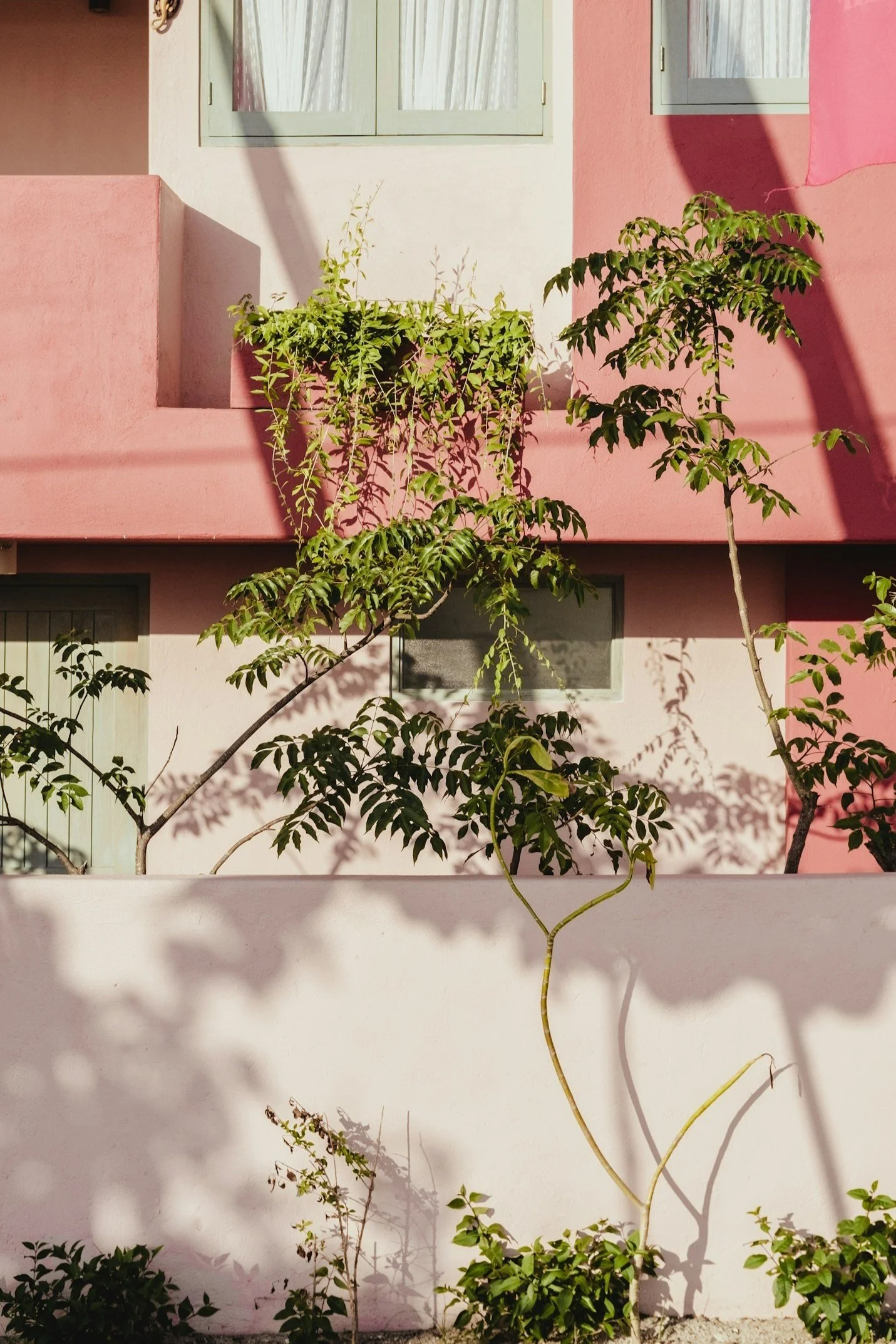 unsplash-image-fcOKQi3-5DA.jpg