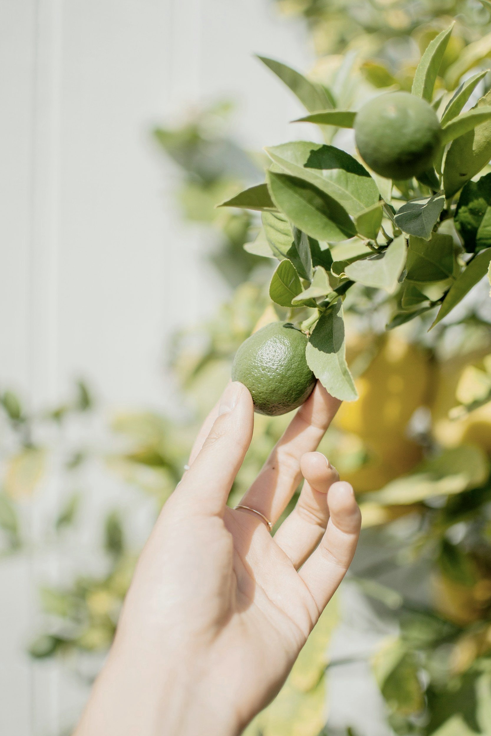 unsplash-image-pyTt2y1kMIU.jpg