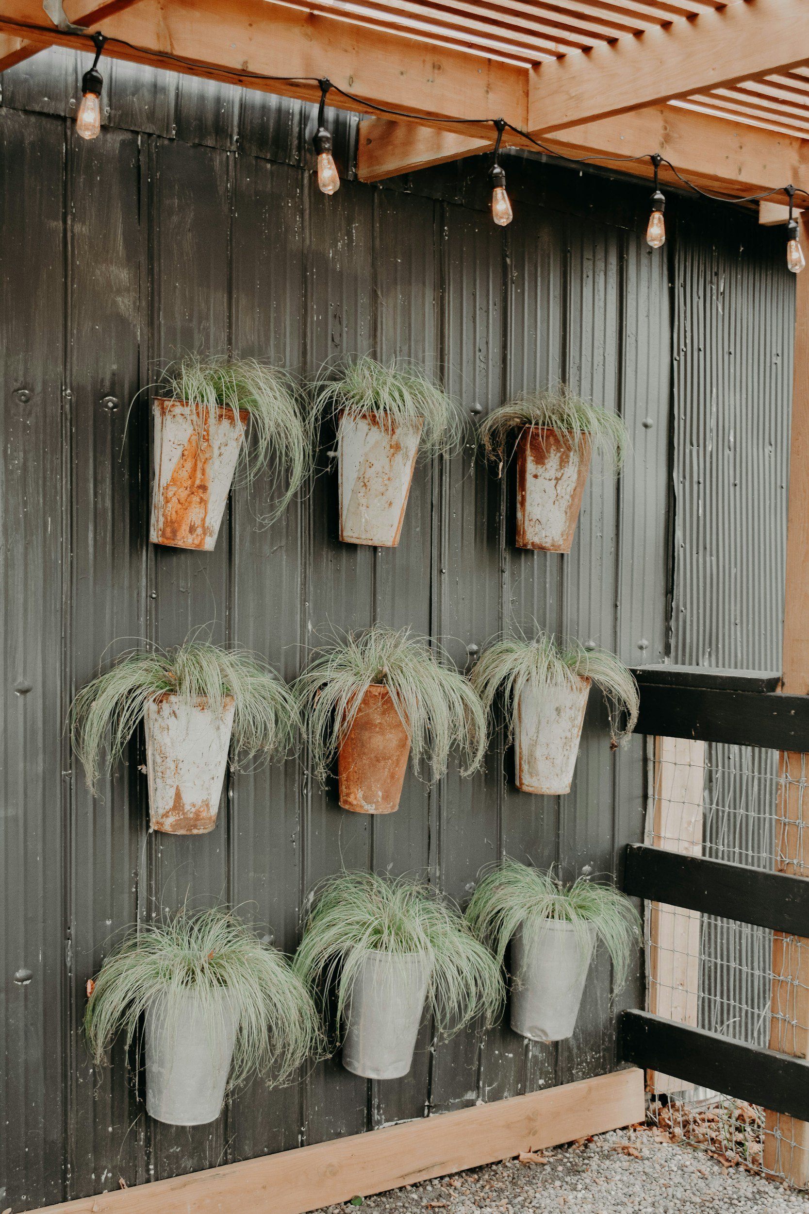 unsplash-image-a-Qm6eRzMKI.jpg