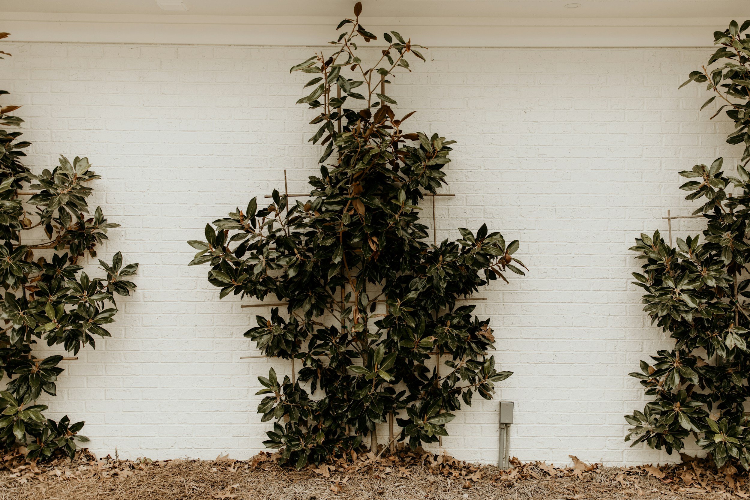 unsplash-image-chy8Qni7ep8.jpg