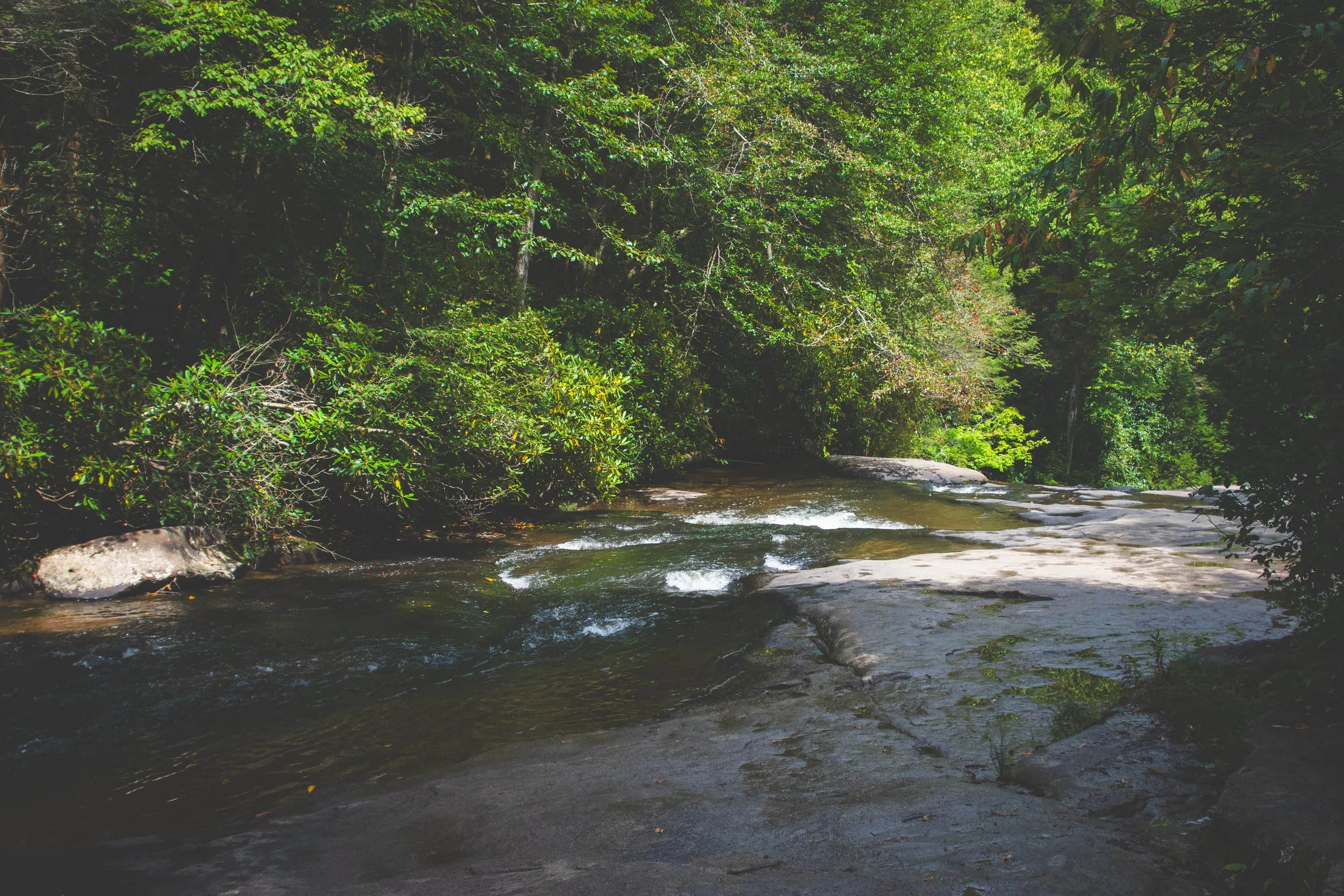 A river flowing through a lush green forest with rocks and trees on both sides at Swallow Falls, Maryland. Taken at Deep Creek Lake in summertime.