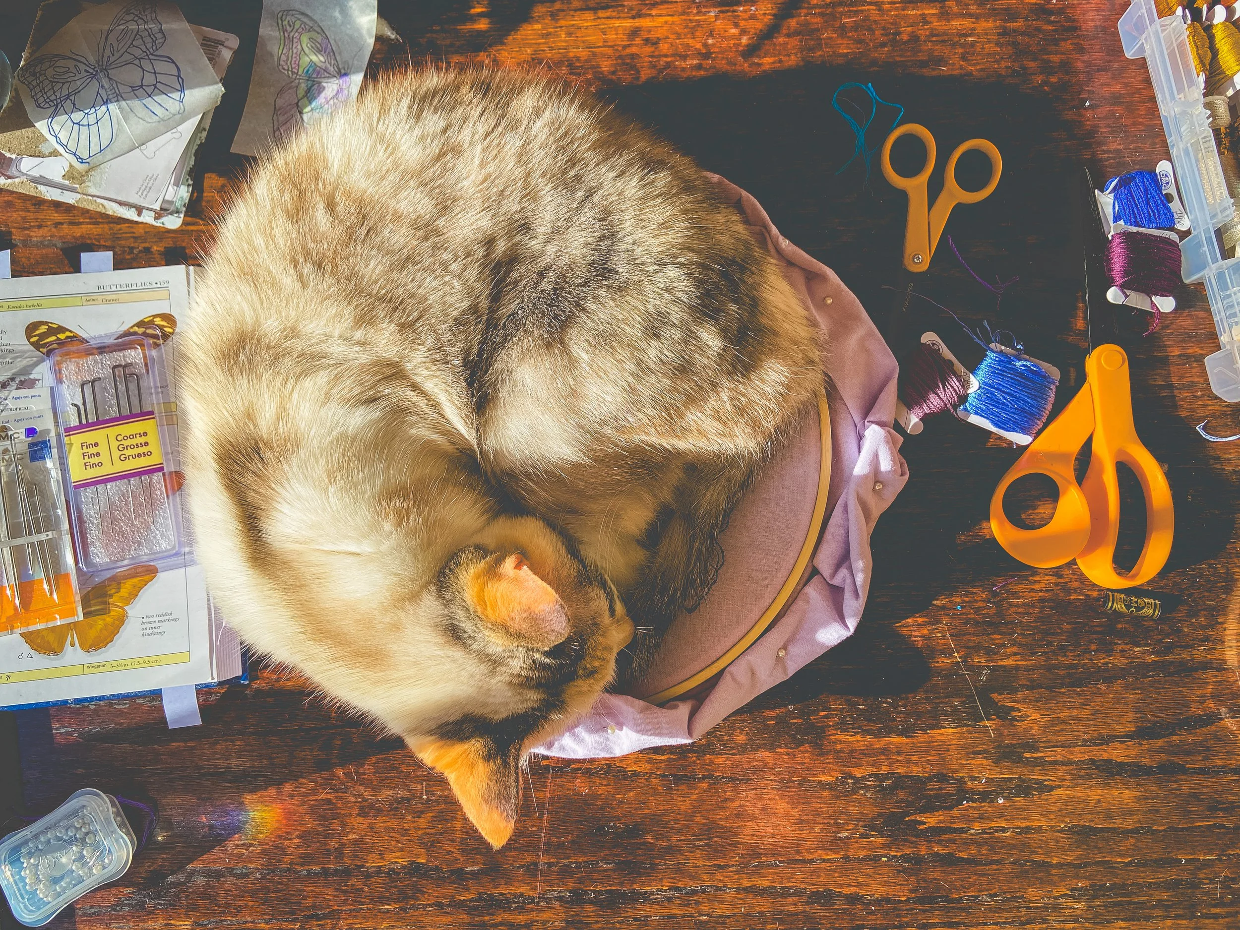 A siamese cat sleeping curled up on a pink fabric with sewing supplies scattered around, including orange scissors, thread spools in various colors, and butterfly illustrations.