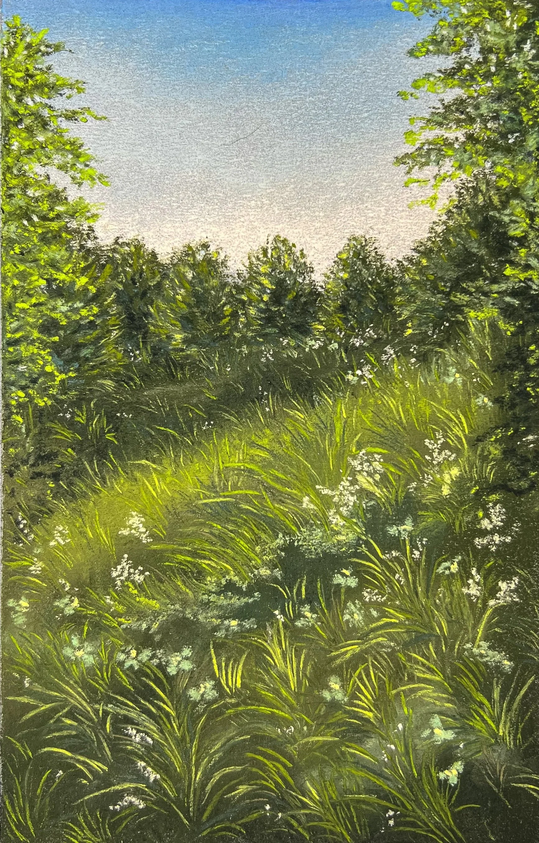 A soft pastel painting of lush green field with tall grasses and dense trees under a clear blue sky.