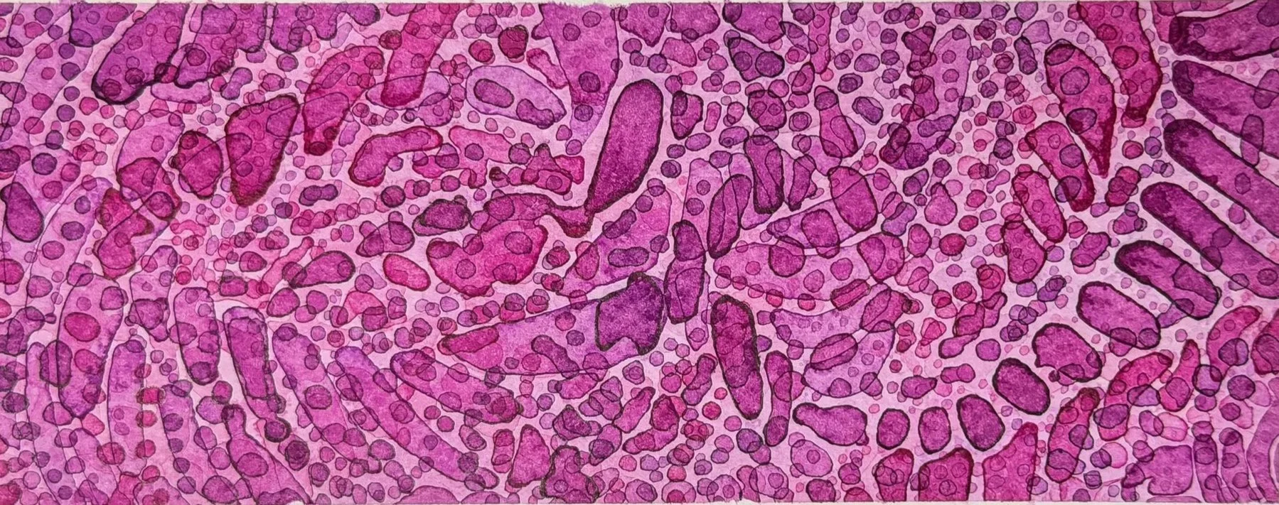 A close-up ink watercolor illustration of a pink and purple shapes and dots. Looks a bit like neon animal print pattern resembling a leopard or cheetah spots.