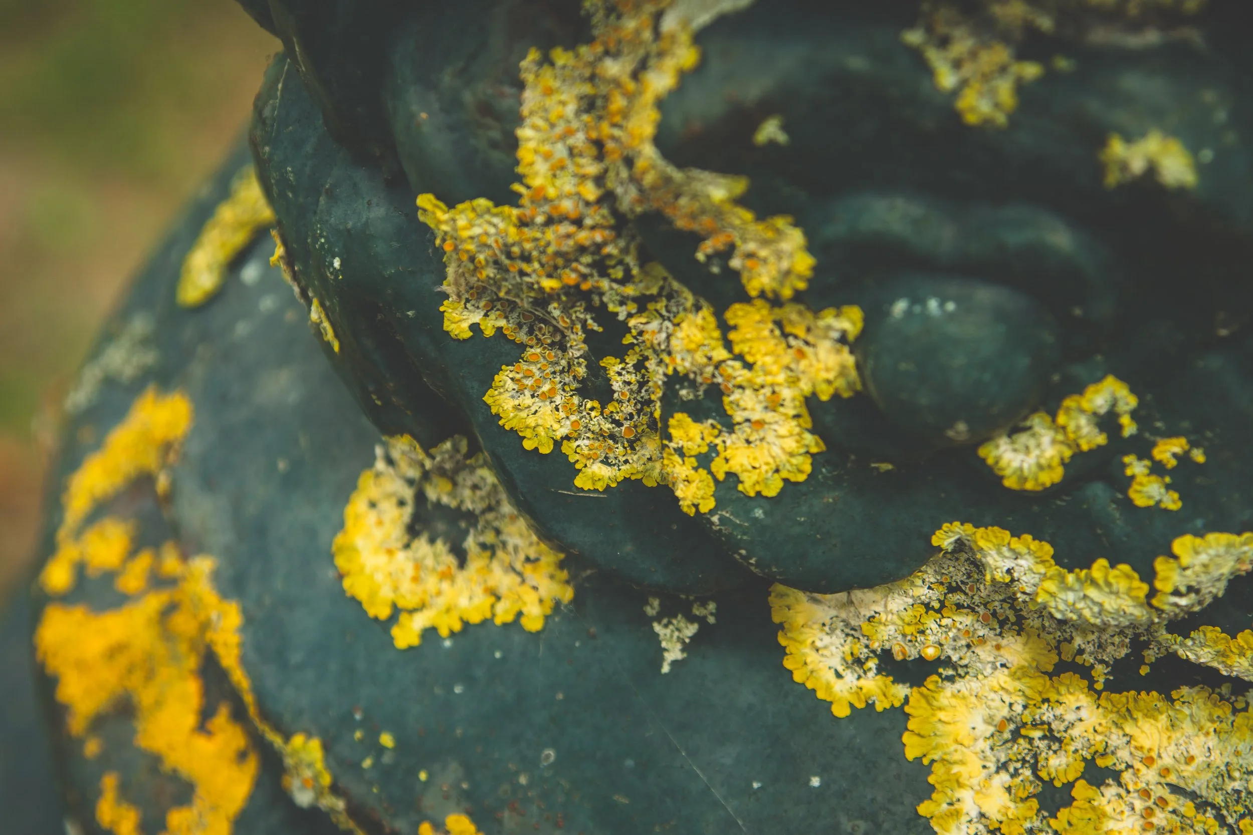 Close-up of a weathered green statue with yellow and gray lichen growing on it.