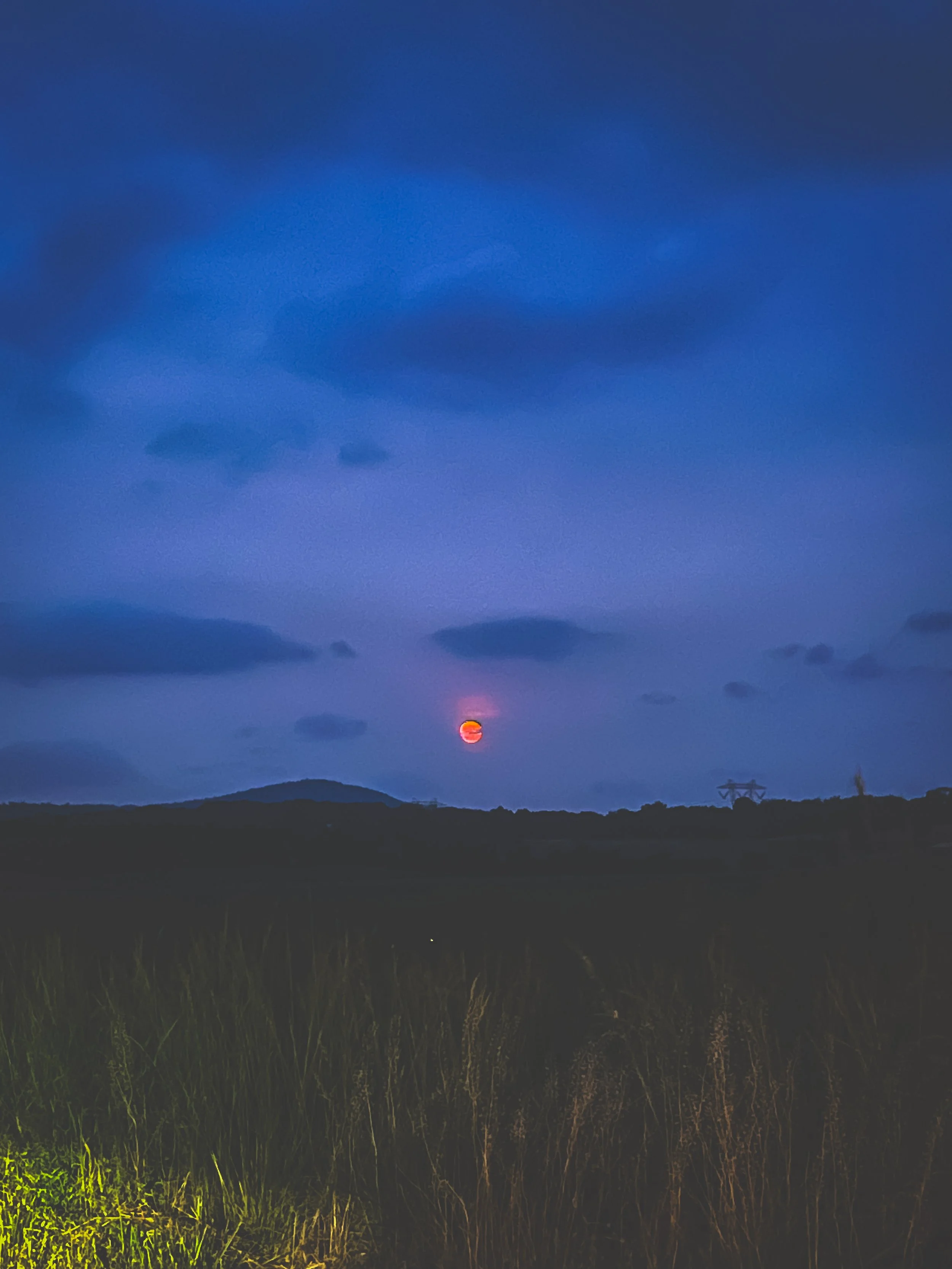 Sunset over hilly landscape with a purple sky and some clouds, with the sun partially visible near the horizon, and tall grass in the foreground.