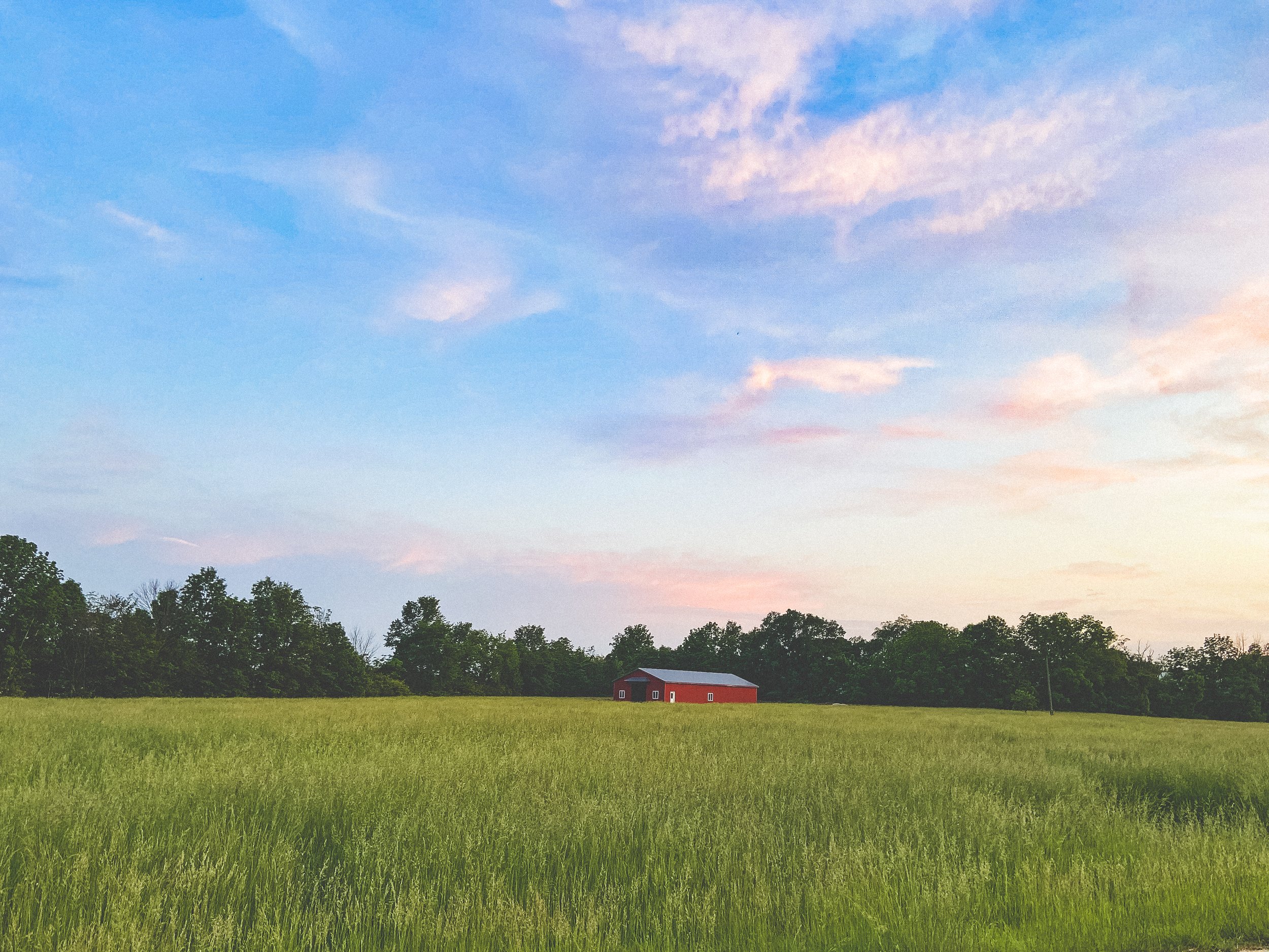 A red barn in a green field with a line of trees under a blue sky with pink and purple clouds, Frederick, Maryland.