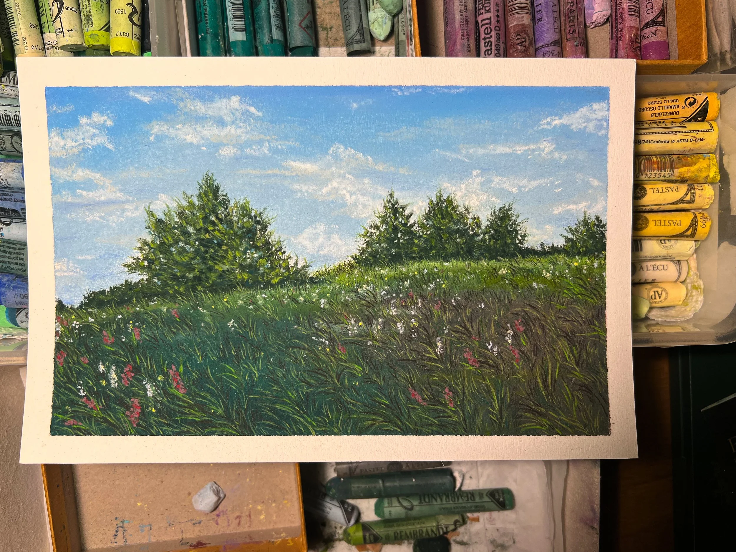 A landscape, soft pastel painting of a grassy field with pink and white flowers under a partly cloudy blue sky, with a row of trees in the background.