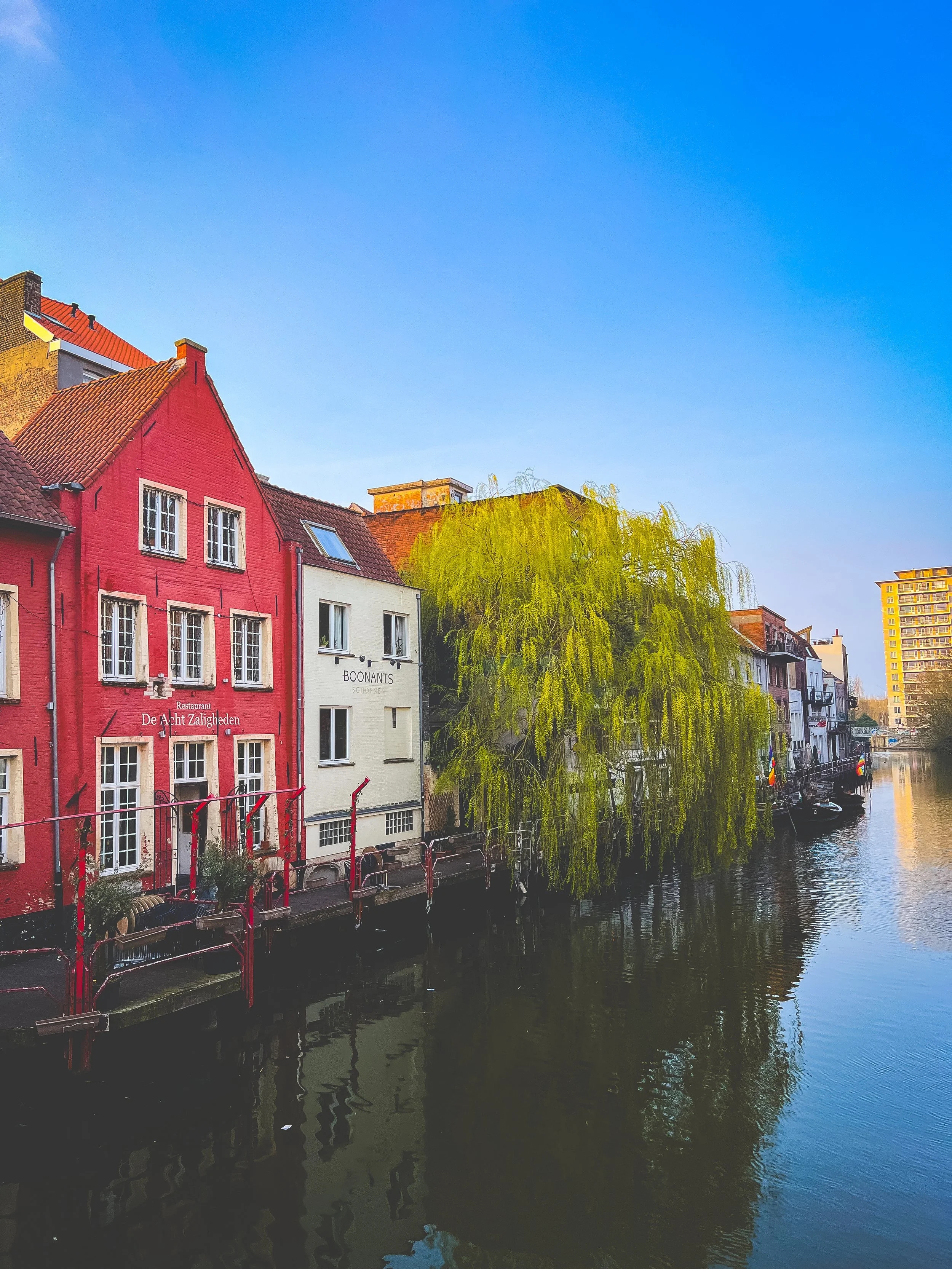 Colorful houses and a tree along a canal in a city, Gent, Belgium.