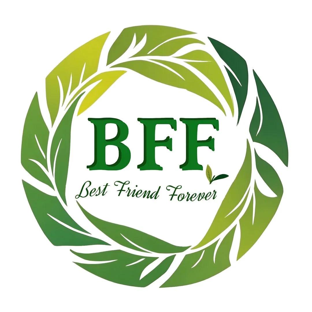 BFF VN Logo_AI High Quality (1).jpg