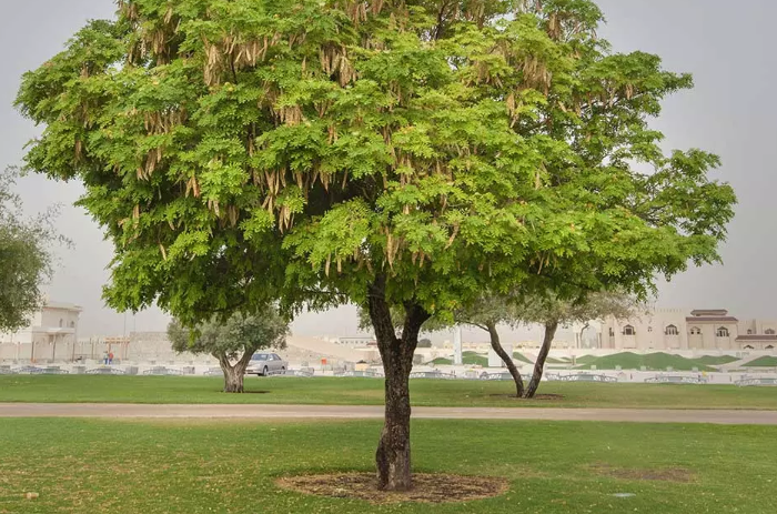 Screenshot 2025-12-25 170605.png