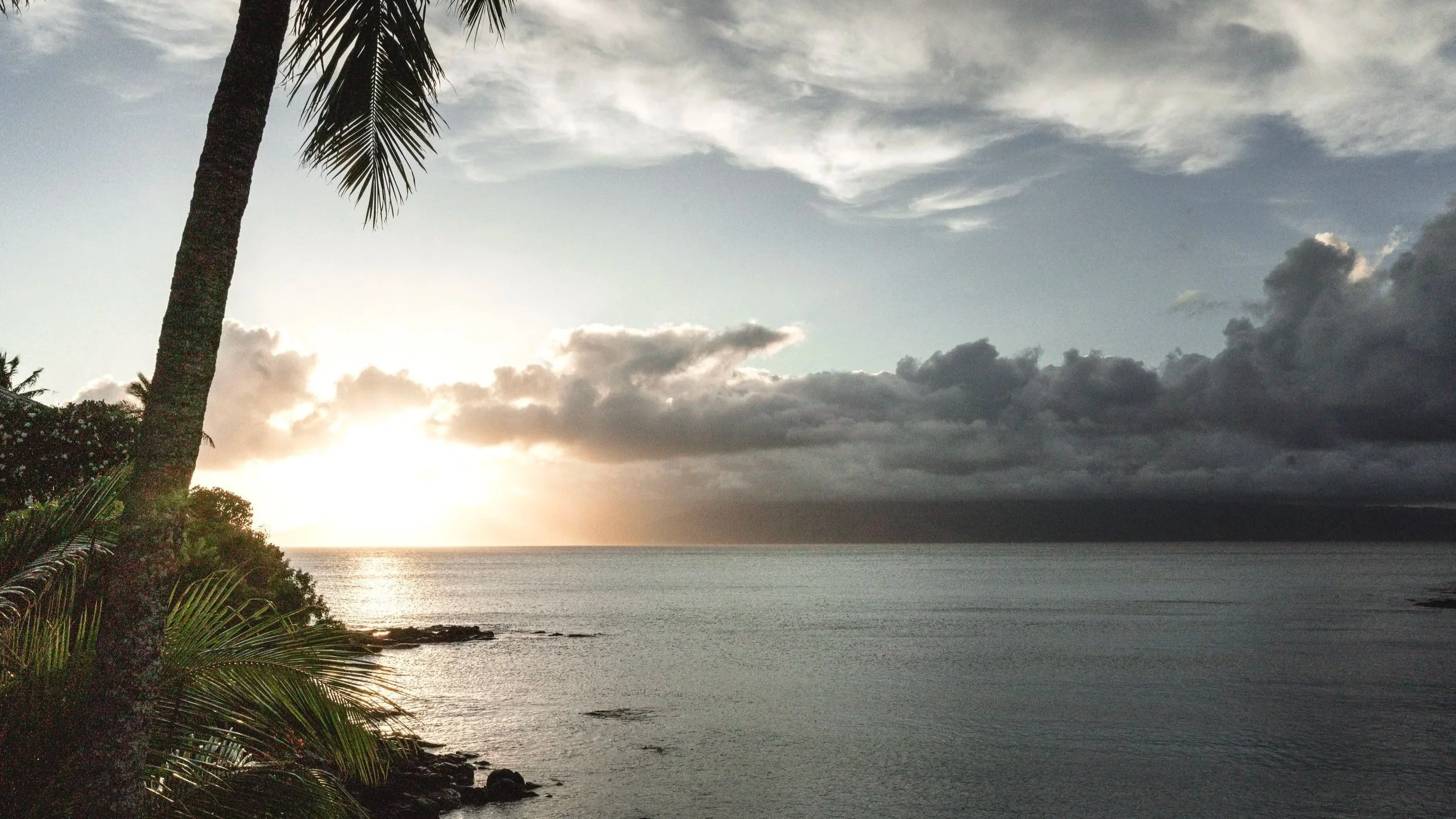 A tropical beach scene during sunset with a palm tree on the left, calm water, and dark clouds in the sky.