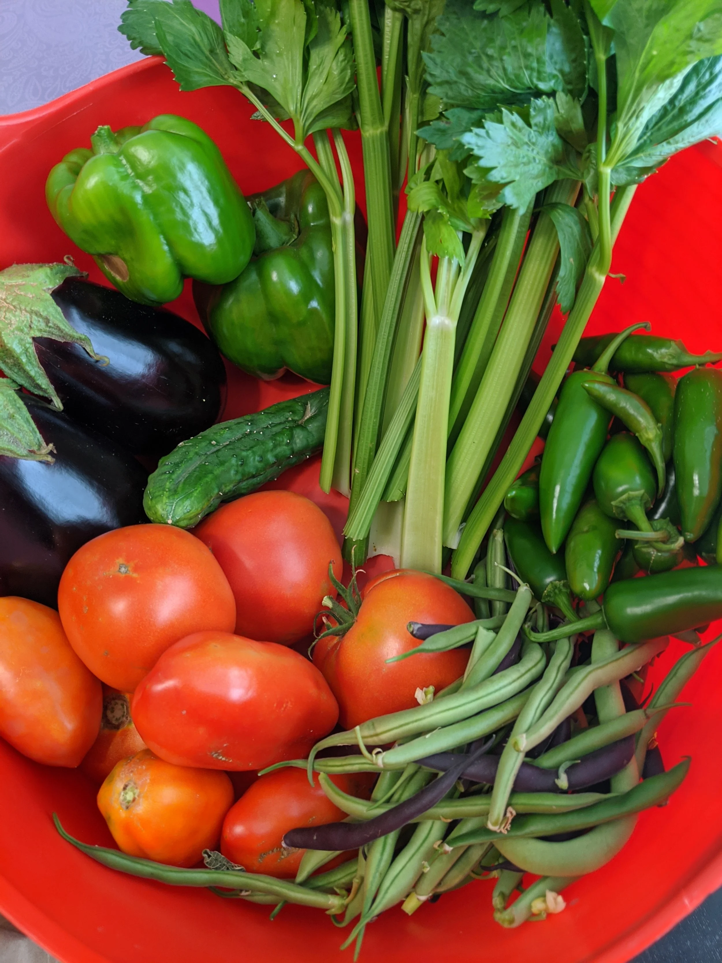 Successful vegetable harvest after planning and reviewing garden season