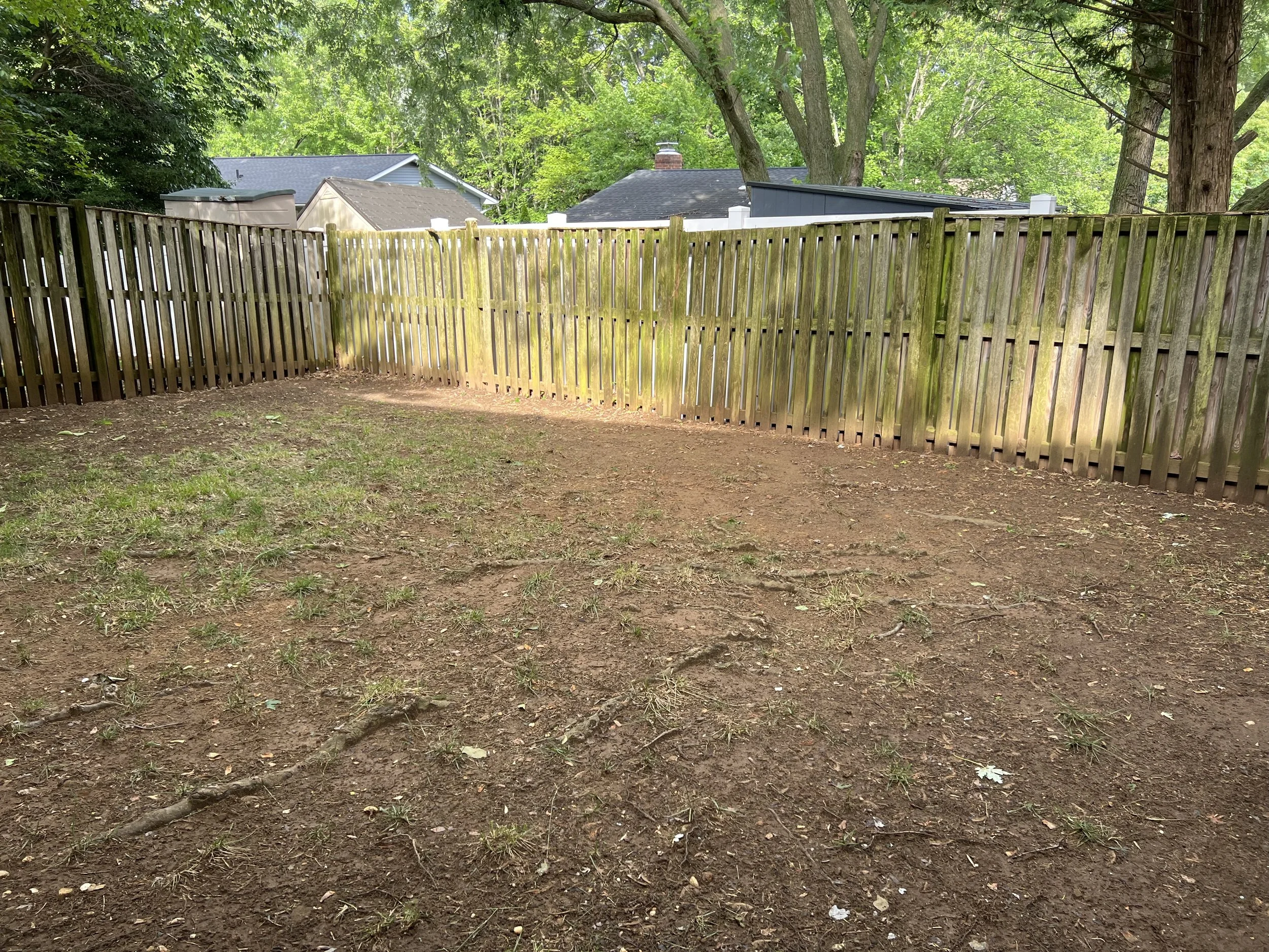 Exhibit A:  The lawn is in full shade and the tree roots are proud and exposed.  Grass is spotty - even though a professional lawn crew has seeded for multiple years. 