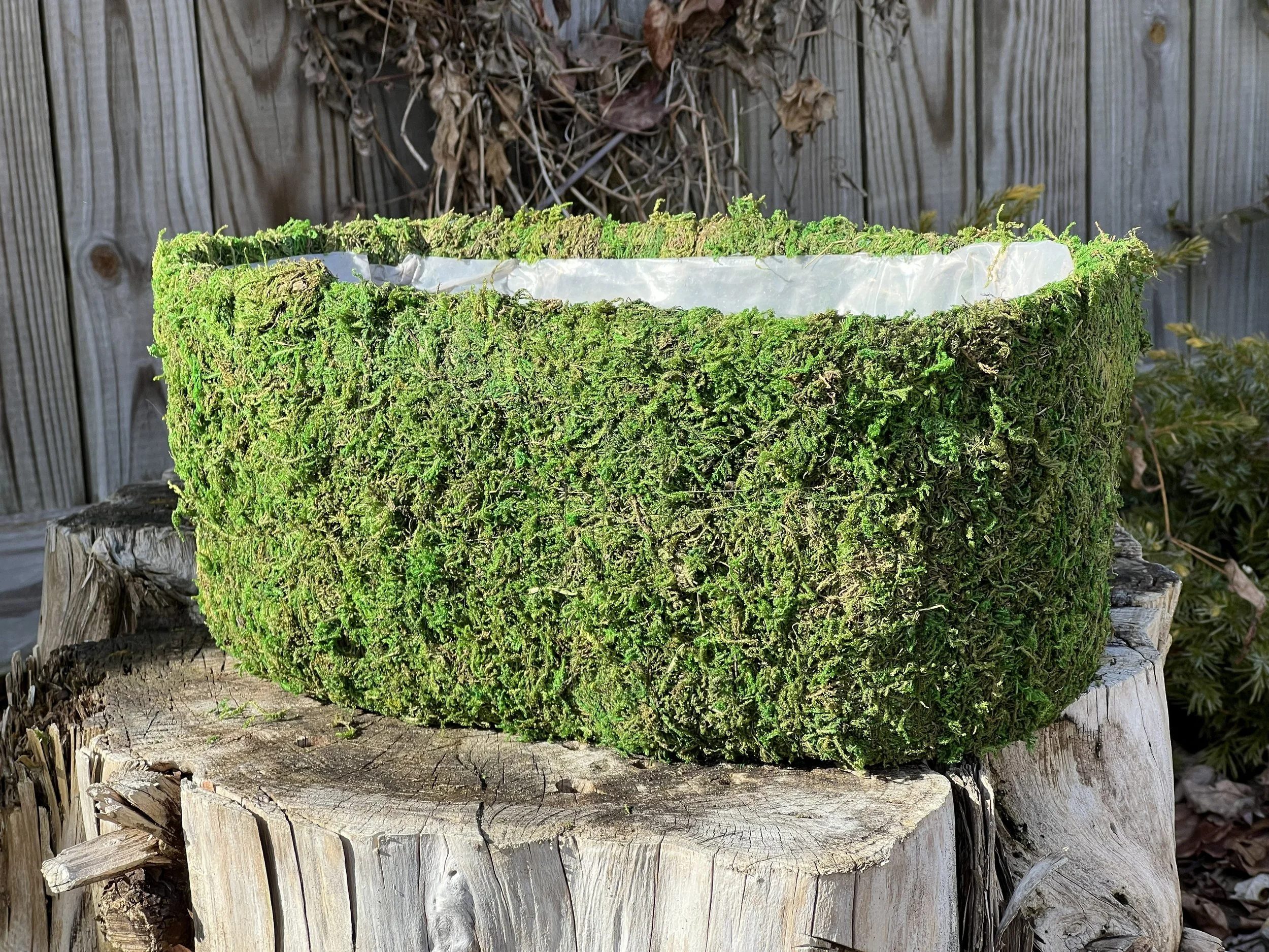 moss planter.jpg