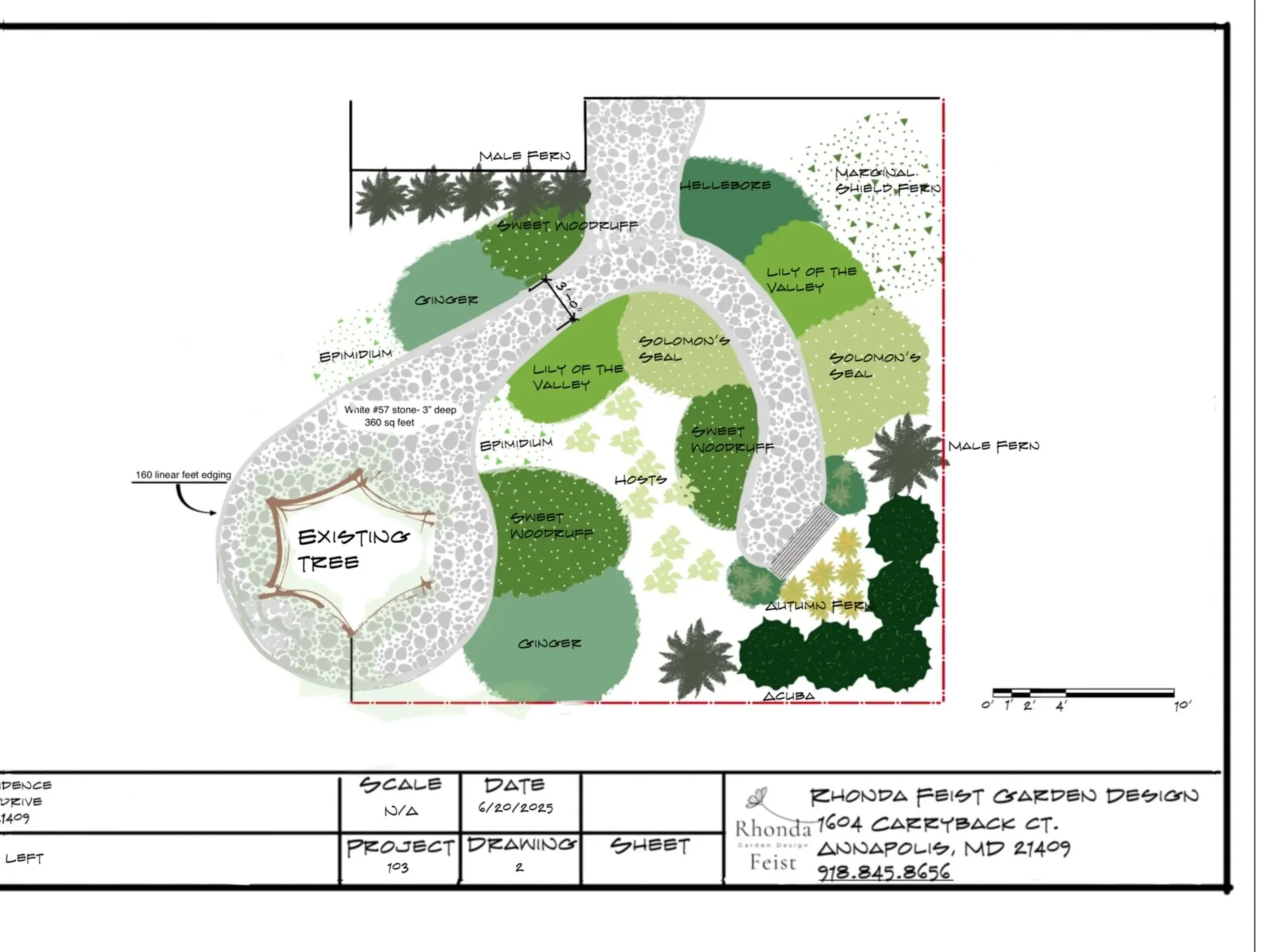 This plan is the second option for the homeowner and also includes the white #57 stone.  The path provides erosion control as well as a stable walking surface.  The area surrounding the path is amended and dry shade plants are planted.  