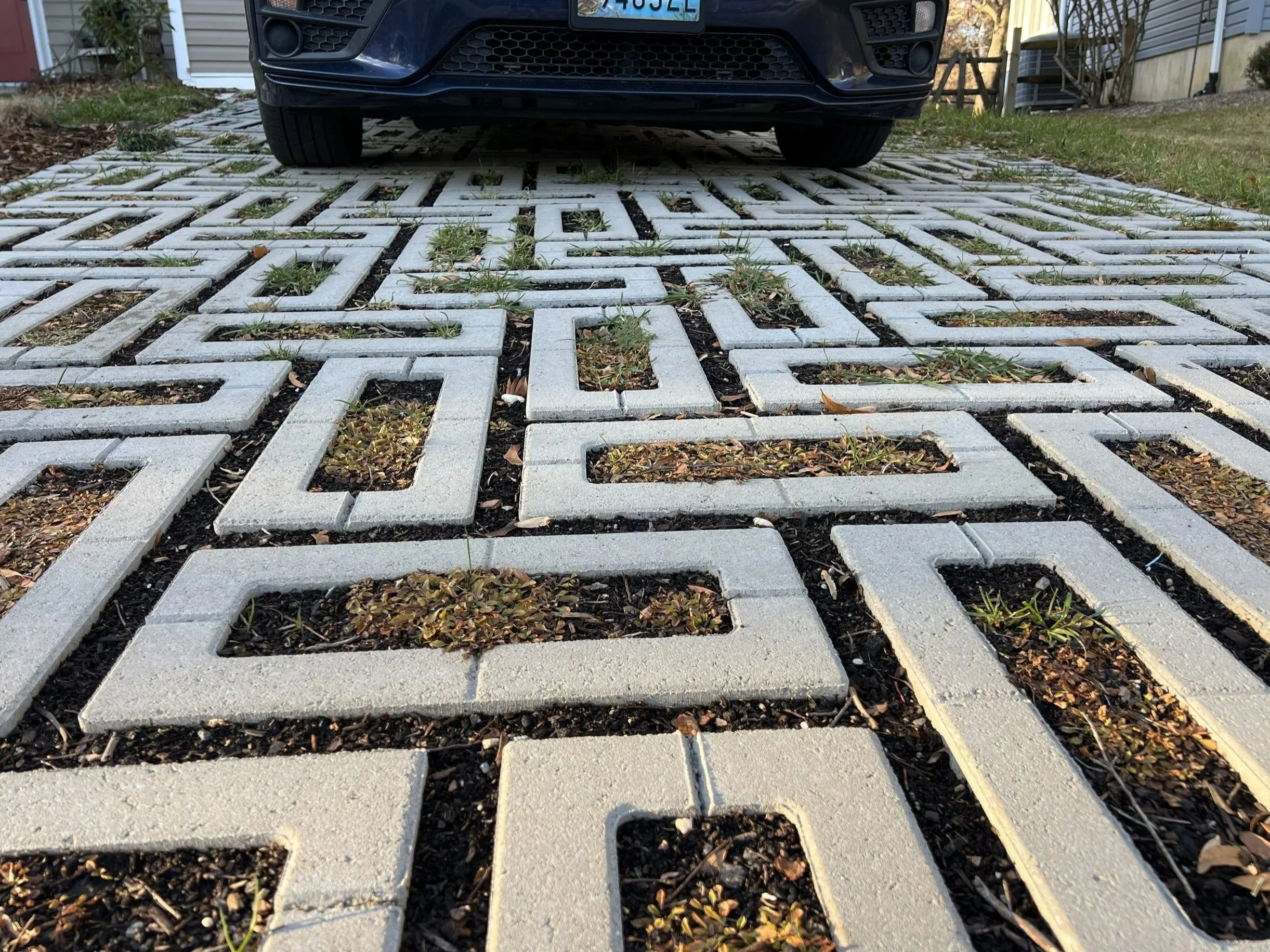 January, three months after installation.  Some plants are dormant but they will be green again in the Spring.