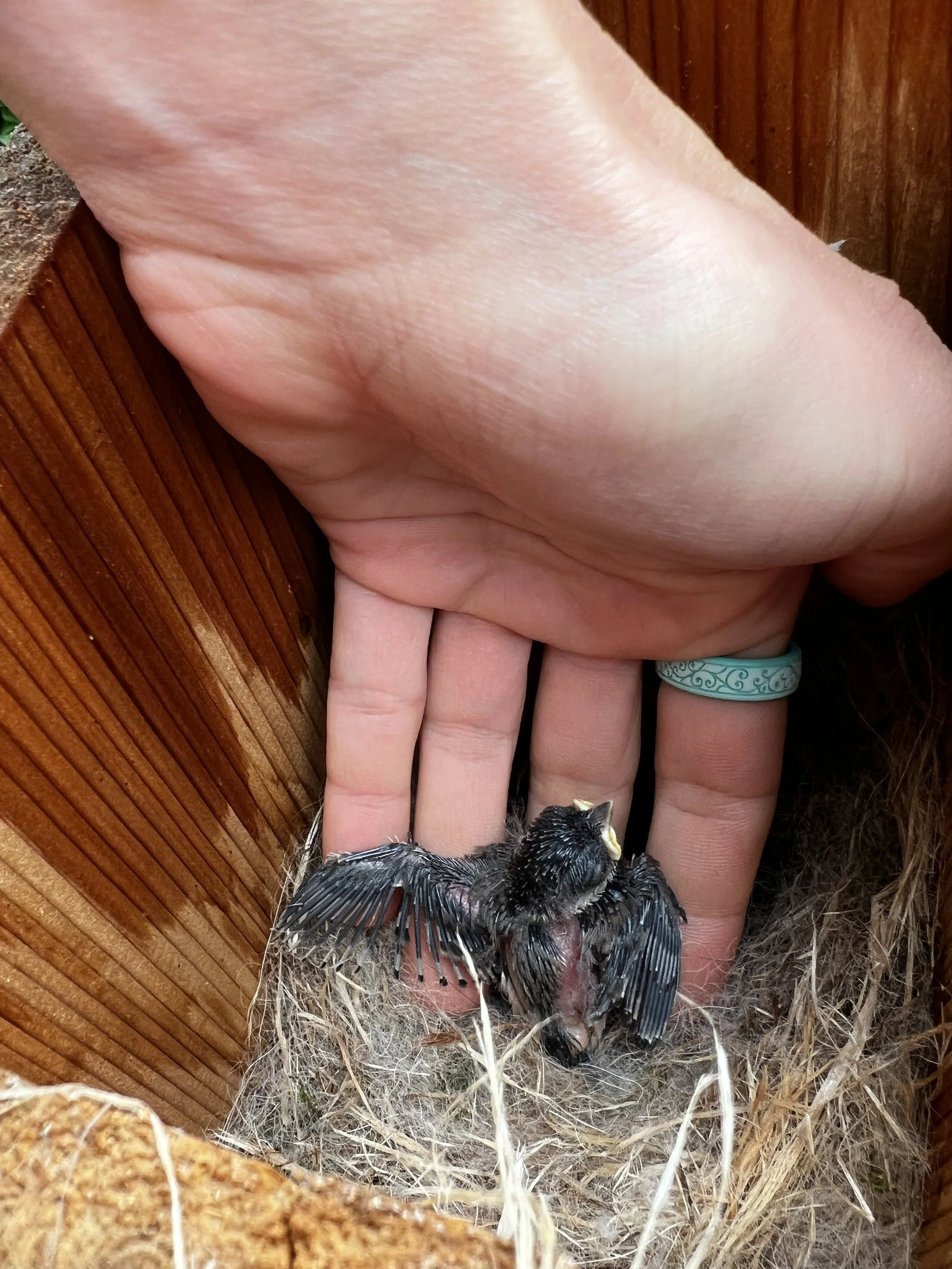 2024-05-04 11.15.16.jpg